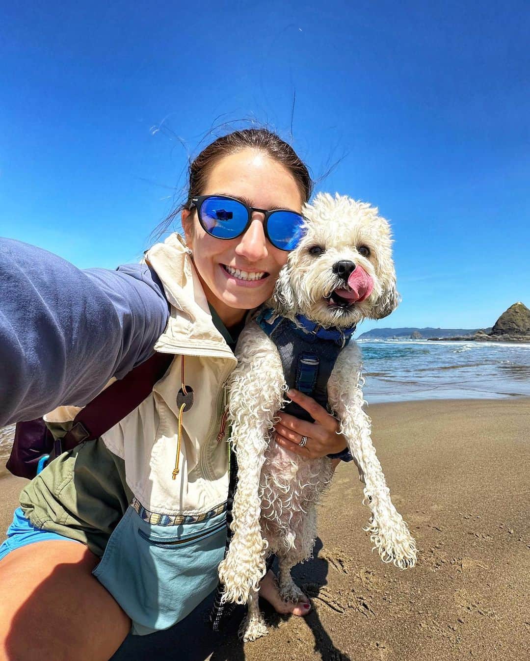 マリッサ・キャステリのインスタグラム：「Beach day 🏖️ swipe left to see Mosby living his best life ❤️」