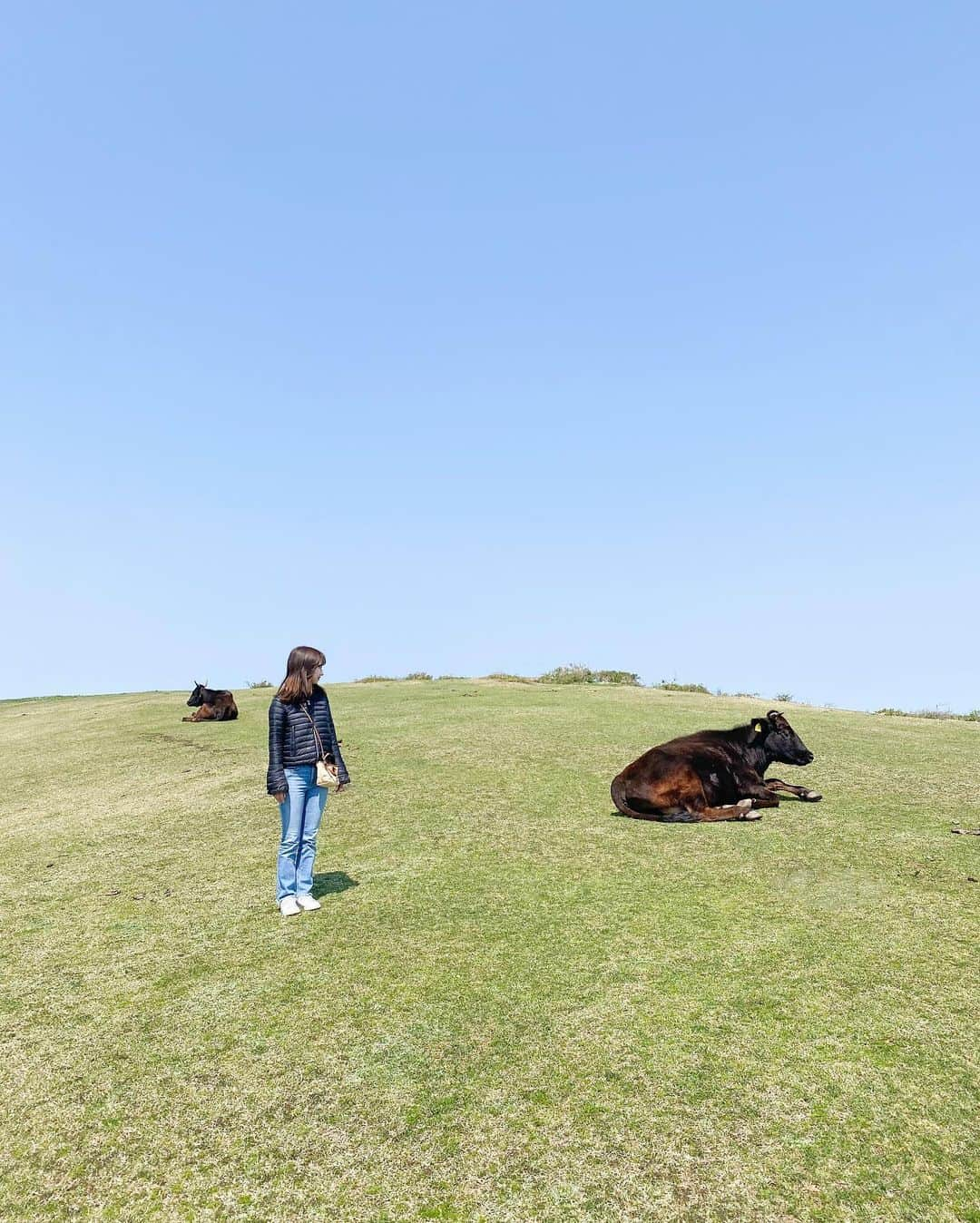 田原可南子さんのインスタグラム写真 - (田原可南子Instagram)「出雲から隠岐の島旅🤍🕊️  出雲大社でお参りをしてから 飛行機と船を乗り継ぎ隠岐の島へ。 4つの有人島のある諸島ですが そのうちの3つを周りました。  📍隠岐の島町 この地の三大杉といわれる 乳房杉、かぶら杉、八百杉は必見。 その地に2000年近く根ざしている杉たちは 清々しい空気と厳かな雰囲気に包まれていて神秘的でした。  📍海士町 Entoに宿泊。素敵な宿。 自転車に乗って隠岐神社まで向かうと 思いがけず満開の桜並木に出会えた🌸  📍西ノ島町 放牧された牛や馬、 摩天崖など雄大な自然の美しさに圧倒… こんな景色見たことない！ この海はひろし、 という海鮮丼のお店が美味しかったです。  島までの道のりはそれなりに苦労もあるけど その分、想像以上の体験がある。 なかなか味わうことのない貴重な時間を過ごしました☺️🍃  #隠岐の島 #隠岐の島町 #海士町 #西ノ島」5月12日 19時46分 - kanakotahara