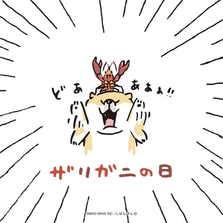 オオゴシヤステルのインスタグラム：「#今日のしばんばん  ザリガニ頭に乗せられて 強くなった気がした むちころ  ファイッ‼️ファイッ‼️ファイッ‼️ ファーーーーーイッしゅ‼️‼️  #ザリガニの日  #しばんばん #shibanban #むちころばんばん #muchicorobanban #微笑柴犬 #マインドウェイブ #mindwave #オオゴシヤステル #柴犬 #しばいぬ #sibainu #イラスト」