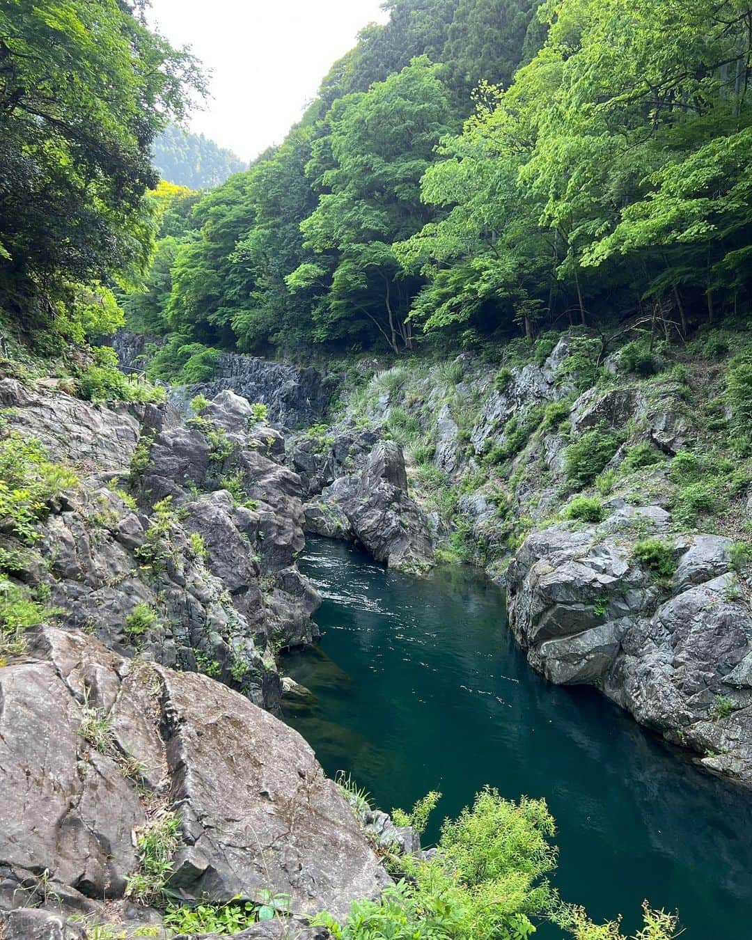 日下裕江さんのインスタグラム写真 - (日下裕江Instagram)「奥多摩ハイキング🥾  久しぶりにGW 鳩ノ巣渓谷⇨白丸へハイキングに行って来ました〜♪  今回はロルも一緒に連れてったよ🐶  そしたら、普段見せない凄いフットワークで驚きました😳‼️  こんなに急な斜面やデコボコした岩場も軽々と歩いて行くじゃないですか😶  え？ 普段は甘えてるだけ？  ロルの犬らしさが見れて良かったです😂笑  普段は犬に見えないんで…w  奥多摩はやっぱり空気が美味しいし、 自然豊かで癒される✨  天気も良くて暖かかったから、 じんわり良い汗もかけました💦  またゆっくり奥多摩湖周辺をハイキングしてみたいです♪  #奥多摩ハイキング #鳩ノ巣渓谷 #白丸 #白丸ダム #白丸湖 #奥多摩 #ハイキング #犬とハイキング #空気が美味しい」5月12日 18時30分 - hiroe___h