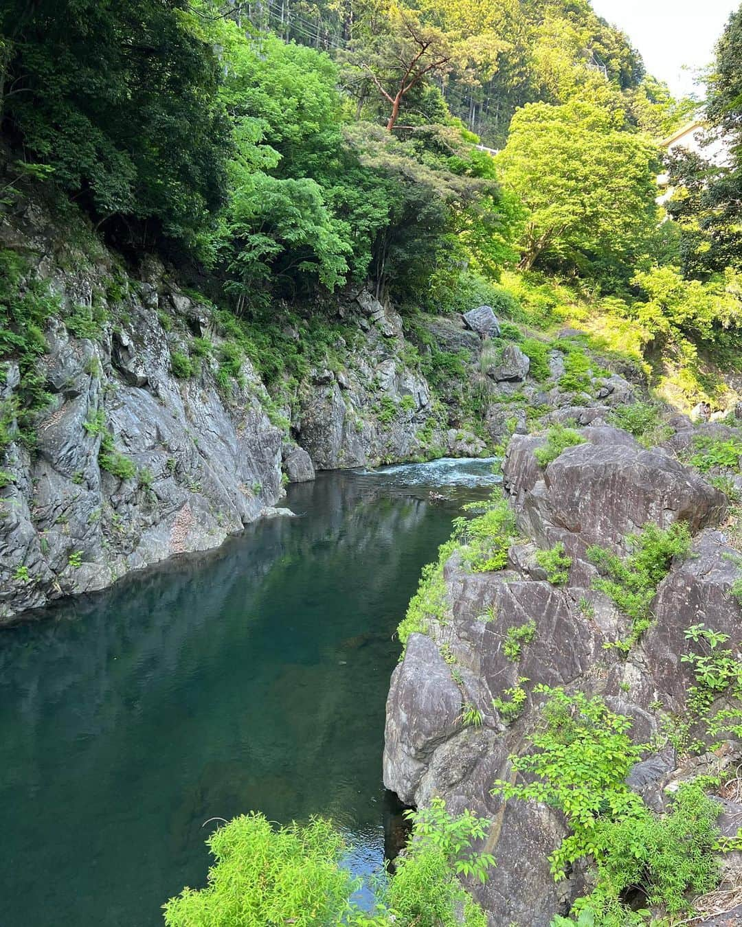 日下裕江さんのインスタグラム写真 - (日下裕江Instagram)「奥多摩ハイキング🥾  久しぶりにGW 鳩ノ巣渓谷⇨白丸へハイキングに行って来ました〜♪  今回はロルも一緒に連れてったよ🐶  そしたら、普段見せない凄いフットワークで驚きました😳‼️  こんなに急な斜面やデコボコした岩場も軽々と歩いて行くじゃないですか😶  え？ 普段は甘えてるだけ？  ロルの犬らしさが見れて良かったです😂笑  普段は犬に見えないんで…w  奥多摩はやっぱり空気が美味しいし、 自然豊かで癒される✨  天気も良くて暖かかったから、 じんわり良い汗もかけました💦  またゆっくり奥多摩湖周辺をハイキングしてみたいです♪  #奥多摩ハイキング #鳩ノ巣渓谷 #白丸 #白丸ダム #白丸湖 #奥多摩 #ハイキング #犬とハイキング #空気が美味しい」5月12日 18時30分 - hiroe___h