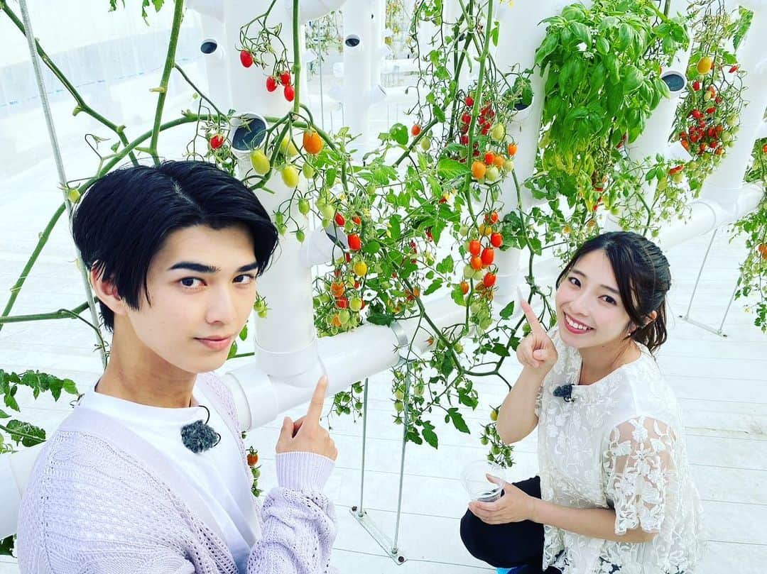 朝日放送「おはよう朝日土曜日です」さんのインスタグラム写真 - (朝日放送「おはよう朝日土曜日です」Instagram)「滋賀大満喫の旅〜🐴🐸🍅 #ポニー#かわゆす#みなくちファーム#NOHVA#びわこベース#小さな水族館#ビワコアクアポニックス#トマト  #おは土#おはよう朝日土曜日です#ABCテレビ #真田理希#小椋寛子」5月12日 18時51分 - ohado6ch