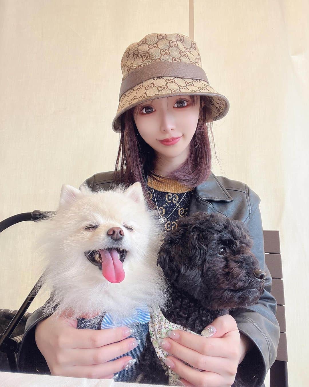 黒宮ちはやのインスタグラム：「だいぶ前のwランチ🤍 風強すぎてテント揺れる⛺️   #黒宮ちはや #小悪魔ageha #モデル #キャバクラ #キャバ嬢 #ホステス #ラウンジ #水商売 #お酒 #歌舞伎町 #新宿 #六本木 #銀座 #北新地 #ミナミ #渋谷 #すすきの #シャンパン #華灯 #ディアレスト #愛犬 #ポメラニアン #トイプードル」