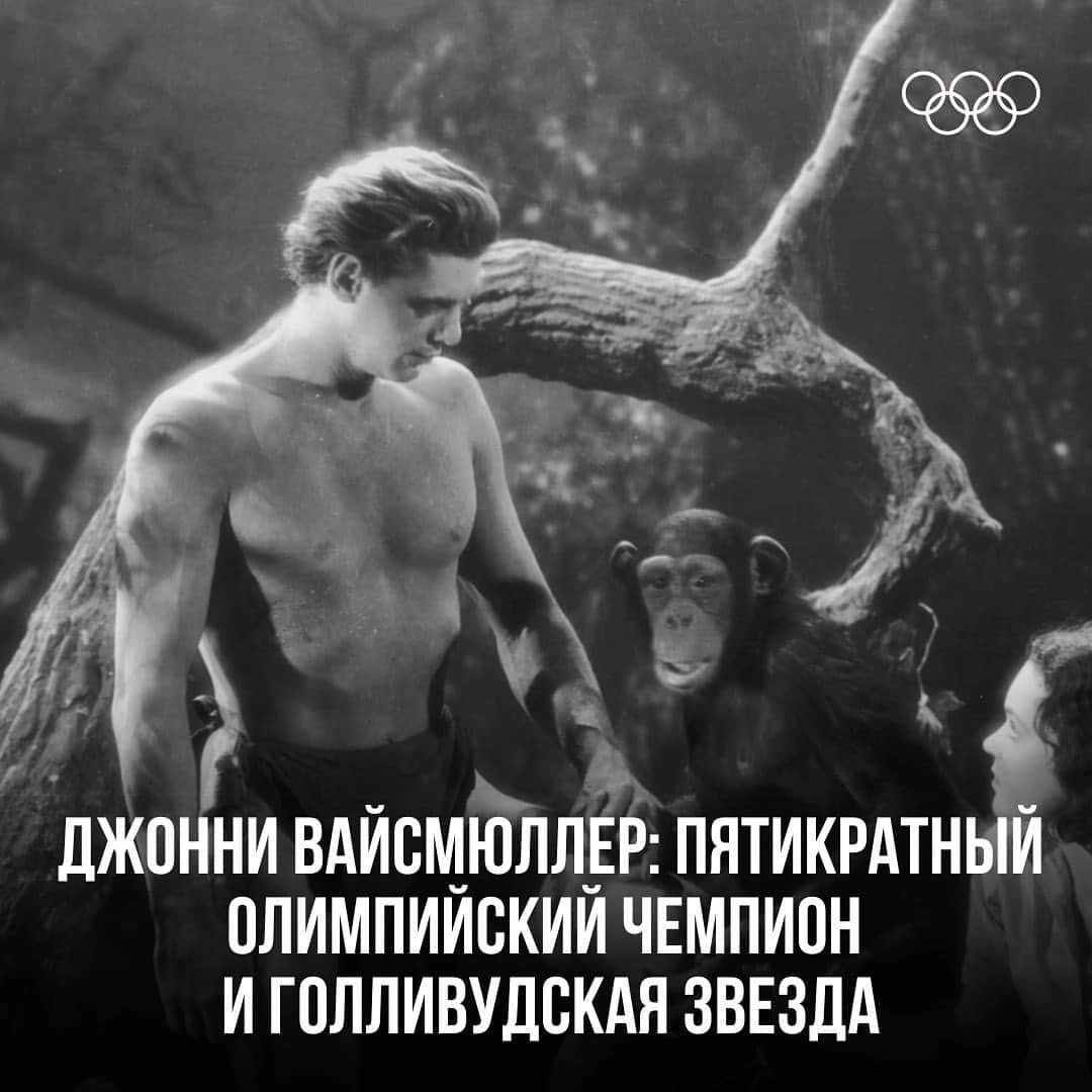 olympiadaのインスタグラム：「Джонни Вайсмюллер стал самым известным Тарзаном в истории кинематографа — но оставил свой след не только на плёнке 📽🏊‍♂  #Olympics」