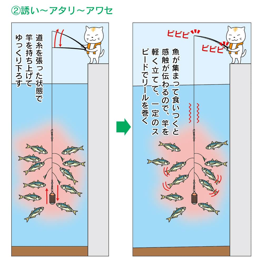 レジャーフィッシングさんのインスタグラム写真 - (レジャーフィッシングInstagram)「これからはじめる「サビキ釣り」 釣り初心者におすすめの定番の釣り。 複数の擬似バリを使うため、 一度にたくさんの魚がヒットすることも！  ターゲットはアジ、イワシ、サバなどの小型回遊魚。 他にもさまざまな魚が釣れます。 釣り場は、潮通しのよい場所に面した港の 波止や岸壁から竿を出すとよいですよ。  「釣りをはじめてみたい！  でも、何から手をつければ？」 という初心者・ビギナー向けに、 釣りの基礎を身につけれるハンドブック 「釣りが上手になるガイドブック みんなの釣り入門 西日本版」が発売中！ 本の詳細はハイライトの「みんなの釣り入門」の リンクボタンからもHPにアクセスできます！  ◆詳しいタックルや釣り方は レジャーフィッシング６月号に掲載！ ハイライト「最新号」から記事をチェック！ https://www.e-leisure.jp/book/  ◆岡山、広島、香川、愛媛、徳島、高知、 兵庫の一部、山口、福岡の主要な釣具店及び書店や Amazon等で販売しています。  ◆ご購入はこちら！ オンラインショップ【レジャーフィッシング SHOP】 https://eleisure.theshop.jp/items/72885285  #サビキ釣り #アジ #イワシ #サバ #釣り初心者 #釣り入門 #せとうち #瀬戸内海 #レジャーフィッシング #釣り #海釣り #魚釣り」5月12日 19時00分 - leisurefishing