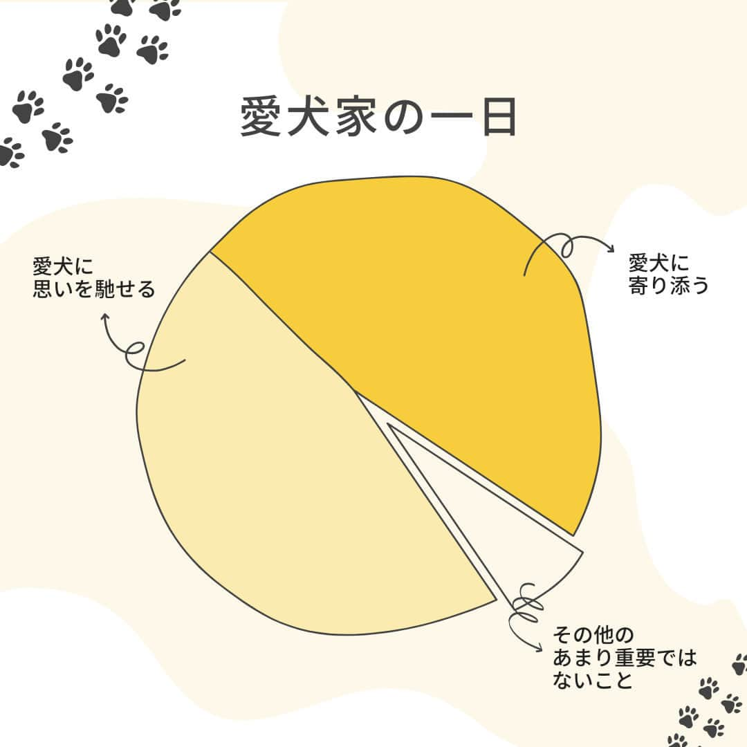 Furbo ドッグカメラさんのインスタグラム写真 - (Furbo ドッグカメラInstagram)「@furbo_japan 👈 他の投稿はこちらから  Furboユーザーさんからは 「仕事の合間もついついFurboを開いて 愛犬の姿を眺めてしまいます😍」との お声をよく頂戴します♡  あなたは今日、 どんなときに愛犬のことを思いましたか？🤭 コメントで教えてくださいね🐩✨  ＿＿＿＿＿＿＿＿＿＿＿＿＿＿＿＿＿＿＿＿＿＿  「うちの子のお留守番が心配で 外出するのが不安になる🥲」  そんなお悩みを抱えているあなたを……  No.1ペットカメラの #Furbo ドッグカメラ 360°ビューが サポートします！💛  ✦ 回転360°ビューカメラ&自動追尾機能つき ✦ リモート操作可能のおやつ機能 ✦ カラーモードを新たに搭載した暗視機能 ✦ 超クリアな双方向会話で愛犬とおしゃべり ✧ AI活用+機能のFurboドッグシッターでさらに安心！ 　　　　　　　　　　　　　　　　etc… 最安値プランは公式サイト限定🤭  プロフィールのリンクから まずは価格を比較してみてね🐶🐱✨ ▶︎ @furbo_japan  #Furbo #ファーボ #ドッグカメラ #ペットカメラ #見守りカメラ #お留守番カメラ #犬好きな人と繋がりたい #犬すたぐらむ #愛犬家 #愛犬との生活 #愛犬との暮らし #愛犬との生活 #犬との暮らし」5月12日 19時05分 - furbo_japan