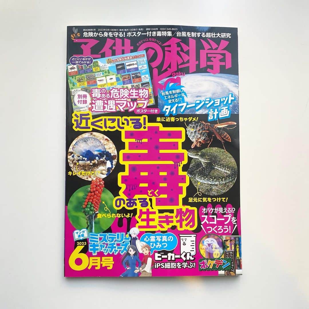 服部円のインスタグラム：「雑誌『子供の科学』6月号の質問コーナーで、ネコの言葉理解について齋藤先生とともにお答えしました🐈  表紙のインパクトがすごいのと他ページもしっかり監修がはいってて本格的で情報量がやばい😇  #子供の科学」