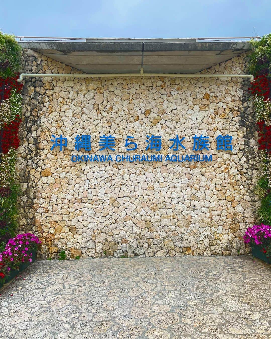 大段舞依のインスタグラム：「⁡ ⁡ ⁡ 美ら海水族館🐟♡ ⁡ ジンベイザメめっちゃ大きくて感動！！！！ 初めて行ったけど楽しかった〜🥺🐟 ⁡ ⁡ #沖縄 #那覇 #沖縄旅行 #美ら海水族館 #ジンベイザメ #🐟 ⁡」