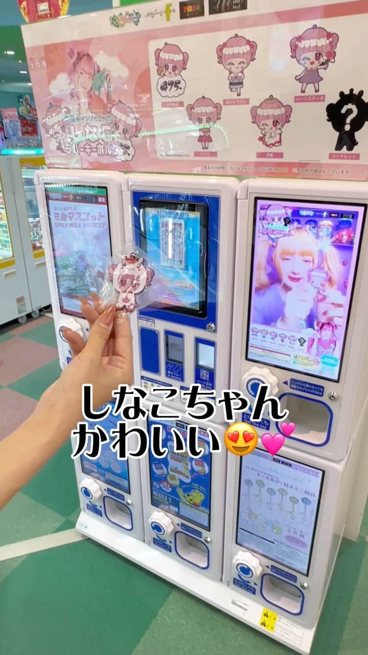太陽チャンネルのインスタグラム