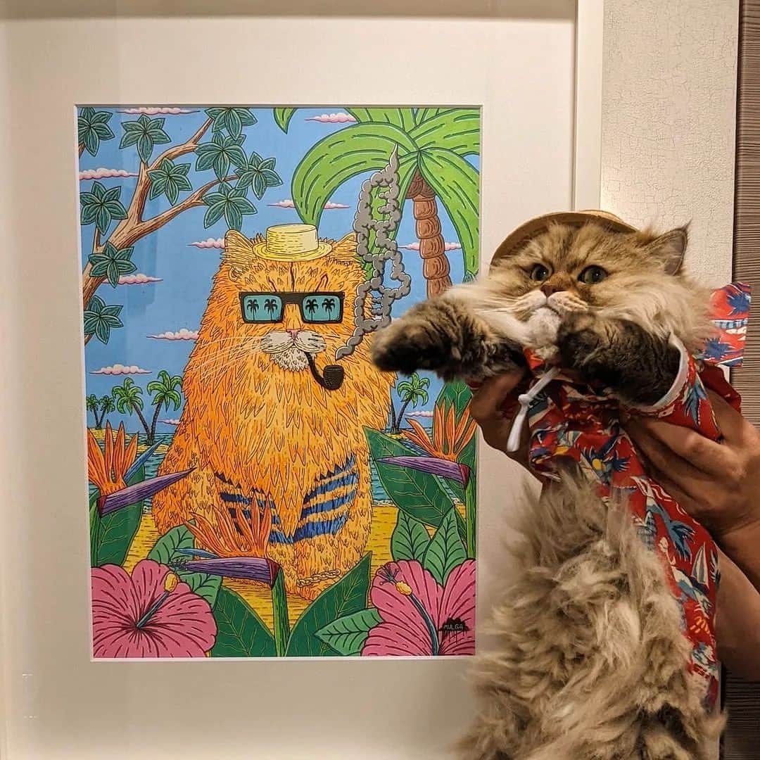 MULGAさんのインスタグラム写真 - (MULGAInstagram)「These cookies are fun! 🍪😺⁣ ⁣ Little cookie collab in Japan with @nekolab_official who cookiefied my drawing of @elle_lala_persiancats358 😽⁣ ⁣ The story of Elle the Funky Cat⁣⁣ ⁣⁣ Once there was a cat called Elle and he was the fluffiest cat on the block. ⁣ ⁣ In addition to being mad fluffy he was super funky and was a singer in a band called Elle and the Funky Cats.⁣ ⁣ They played funk tunes and everyone would always dance when they played their music.⁣ ⁣ One time they played at a street party and they had to stop because their grooves were too infectious and everyone who could hear the tunes couldn't help but dance and mayhem ensued everywhere.⁣ ⁣ But there was this other cat called Lala the Cat and she was Elle's sister and the funky tunes seemed to just make her angry and when she heard them she threw tomatoes at Elle. Siblings hey.⁣⁣ ⁣⁣ The End⁣⁣ ⁣ #mulgatheartist #mulgatheartistasia #catcookies」5月12日 11時06分 - mulgatheartist