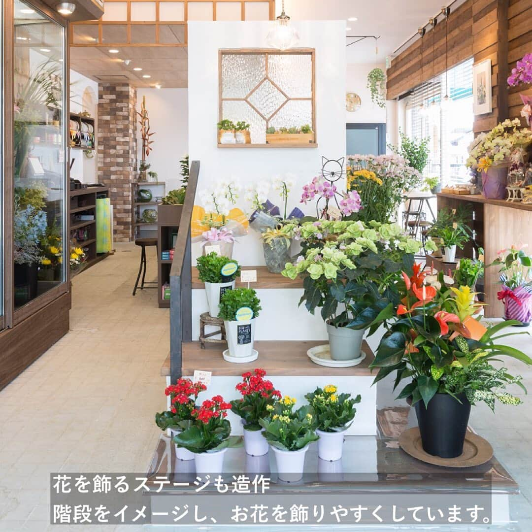 NARAYAさんのインスタグラム写真 - (NARAYAInstagram)「施工事例【FLOWER　ISHIHARA（フラワーショップ）】より  ＜店舗リノベーション事例＞ 神戸町の商店街にあるお花屋さん。  以前は切花を販売するスタイルでしたが、フラワーアレンジに力を入れていきたいというご要望があり、大きなアレンジカウンターをご提案。 お客様のスペースと従業員のスペースを区別し、収納も兼ね備えた便利な作業台が出来上がりました。  花を飾るステージも造作。 階段をイメージし、段差を設けることでお花が飾りやすくしています。 手摺り部分は木材にアイアン風塗料を塗っています。  西側の大きな窓には西日対策の板張りを設置。 凹凸を出し、色の濃さも変えて立体感を演出。 以前よりもお花を飾るスペースを増やすことが出来ました。  店内は色とりどりの花達が主役になるよう、白壁と木目で統一。 温かみ感じるナチュラルテイストにまとめています。  イシハラ花店 本店 住所：岐阜県安八郡神戸町神戸４６２−２  NARAYAは岐阜・愛知県を中心に 理想の家づくりをお手伝いするリノベーション専門工務店です。  “リノベーション”は自由なデザインで新しいライフスタイルを実現する、 その人のための家づくり。 アナタの「住みたい！」をリノベーションでカタチにしませんか？  DM、もしくはプロフィール画面URLより お気軽にお問い合わせください✉  .................................................... その他の施工事例はHPに掲載されています。 プロフィールのURLからご覧ください🌼 ....................................................  #naraya #ナラヤ #奈良屋建設 #岐阜工務店 #岐阜リノベ #岐阜リノベーション #戸建リノベーション #中古住宅リノベーション #リノベーション住宅 #工務店がつくる家 #家づくり #マイホーム計画 #インテリア好き #暮らしを楽しむ #暮らしを楽しむ家づくり #ワクワクを届ける会社 #narayaのカワイイ #造作 #店舗リノベーション #花屋リノベーション #花屋」5月12日 11時21分 - naraya_kensetsu