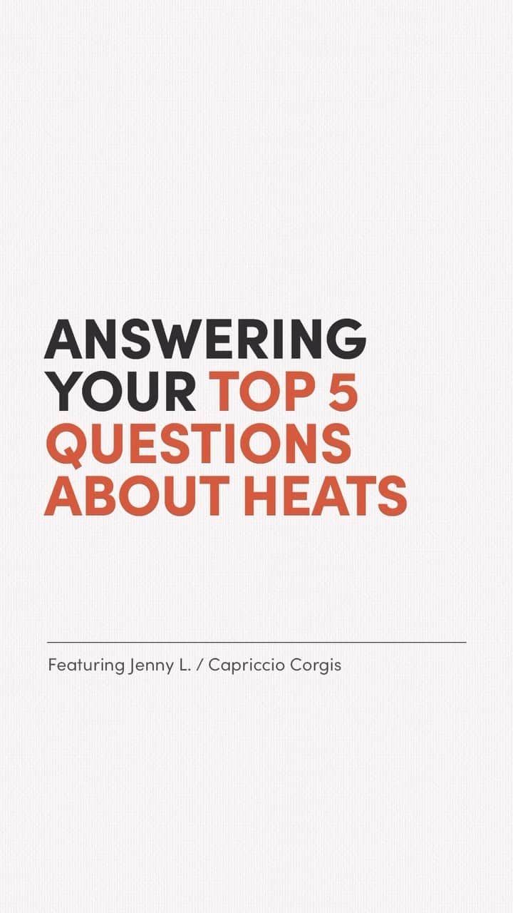 のインスタグラム：「With Agatha being in heat (again 🙄😫) we’ve been getting a lot of questions about dog heat cycles. Heats can be confusing and intimidating for those who haven’t gone through them before – periods are bad enough for us women, and dealing with canine ones can be a huge pain in the butt.  🛑 A gentle reminder that it is extremely important to keep a close eye on your girl in season, especially through the 2nd and 3rd weeks where she might accidentally be bred with a local wandering romancer 🤨🌹🍆. Accidental pregnancies are no joke, and unless you purchased your female dog from an ethical breeder with full breeding rights, you should ABSOLUTELY NOT be breeding your pet.   While we show clips of Scaggy briefly interacting during this heat cycle, rest assured that they were both girdled up with their “chastity belts” and with constant eagle-eye supervision. It can only take a second for a boy to get access, and due to dog anatomy (that we can explain another time), it can in fact be even MORE dangerous to separate them during the “act.” 🫠  Happy to answer questions as they come up below and/or commiserate with you guys on…stain-related mishaps 🙃🫢🫣」
