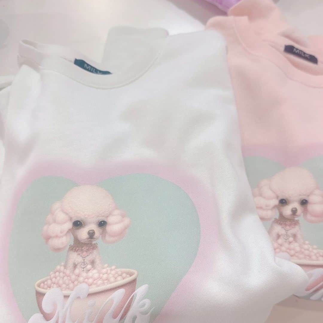 双木昭夫のインスタグラム：「お犬様のふわふわトレナー買っちゃいました。  大丈夫かな〜💖」