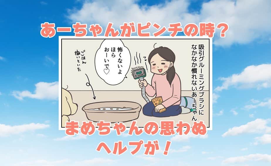 餅付きなこさんのインスタグラム写真 - (餅付きなこInstagram)「ブラッシングしたお毛毛をそのまま吸引してくれる、掃除機とブラシが一緒になったようなのを使ってます。  アイビーは初め、その可動音が怖かった時があっておやつで誘ってもなかなかそばに来てくれなかったんですが、まめちゃんがおやつを食べ始めたら一変❣️  すぐさまやってきて仲良くおやつを食べてる時にささっとブラッシングしちゃいました♡ まめちゃん、ナイスヘルプ！  まめちゃんの、猫の手ならぬ猫の胃袋を借りちゃった出来事でした🎵  猫ちゃんがワンちゃんよりも食いしん坊なのって、ちょっとイメージと違ってて面白いですね☺️  #漫画 #イラスト #犬漫画 #絵日記 #エッセイ漫画 #コミックエッセイ#マンガ #日常漫画 #ゴールデンレトリバー #goldenretriever #ゴールデンレトリーバー #犬と生活 #4コマ漫画 #犬 #dog #dogstagram #instadog #わんこ #ふわもこ部 #いぬ #ilovemydog #いぬのきもち #大型犬 #大型犬のいる生活 #まめとアーティ #餅付きなこ #おさんぽですし！」5月12日 11時51分 - kinakomochitsuki