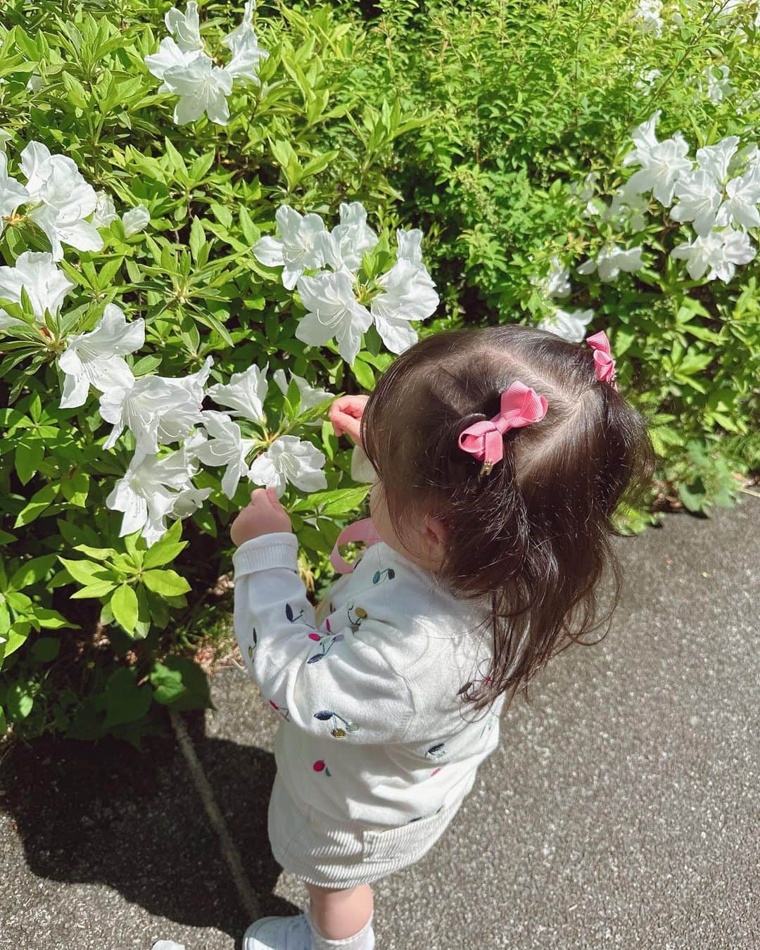 石田安奈のインスタグラム