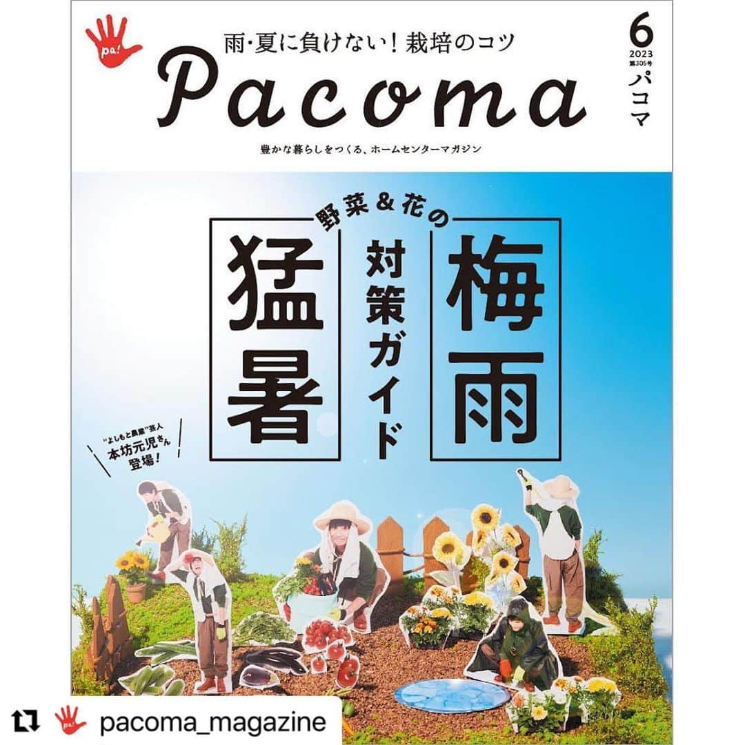 本坊元児さんのインスタグラム写真 - (本坊元児Instagram)「#Repost @pacoma_magazine with @use.repost ・・・ 配布中のPacoma6月号の巻頭特集は「野菜＆花の梅雨・猛暑 対策ガイド」をお届け📝  野菜、花の健やかな育成に影響を及ぼす梅雨と猛暑。家庭菜園をする人にとって悩ましい季節が到来する前に、Pacomaが対策のポイントをお届けします💡    ナビゲーターは、吉本興行のお笑い芸人で、山形で農業に取り組んでいる #本坊元児 さん🍅    【野菜編】の監修をしてくれたのは、園芸家の小野淳さん。  人気野菜のナス、キュウリ、トマトをはじめ、梅雨や猛暑に強いおすすめ品種、お世話のコツが満載です。   【お花編】は、園芸家の杉井志織さんが指南。 「品種選びが大きなポイント」という杉井さんに、初心者でも育てやすいタフな最新品種を教えていただきました。杉井さんも愛用しているという、病害虫ケアのアイテムもご紹介！  Pacoma6月号、配布中です。ぜひ、お近くのホームセンターでお手に取ってご覧ください。　  「Pacoma」は全国のホームセンター約1250店舗で配布しているフリーマガジンです（毎月10日発行）。配布店やWEB版はプロフから☺︎  ▼▽▼▽▼▽▼▽▼▽ @pacoma_magazine ▲△▲△▲△▲△▲△  model:本坊元児 @honbouganji photo:岡田潤（BE NATURAL） stylist:青木紀一郎 @kiichiroaoki propstylist:官野亜海 @ami_kanno__  Hair&Make:亀田雅  #Pacoma #パコマ #ホームセンター #フリーペーパー #フリーマガジン #家庭菜園 #菜園ライフ #家庭菜園好きさんと繋がりたい #家庭菜園初心者 #畑仕事 #庭仕事」5月12日 11時56分 - honbouganji