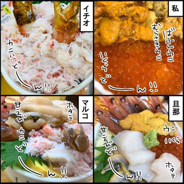 くま母さんのインスタグラム写真 - (くま母Instagram)「⁡ 【小樽カニのツメ事件】  ⁡ 後世に語り継がれる 事件となるでしょう…w ⁡ ⁡ さて！店じまいモードの三角市場、 ラッキーなことに滝波食堂さんで 海鮮丼を食べることができました！ ⁡ ⁡ 北海道は海鮮が 本当に美味しいですね〜🥹 この日は昼も夜も海鮮で とてもとても大満足な1日でした！ ⁡ 本当は回転寿司にも 行きたかったんだけど 他にも美味しいものがあるので 回転寿司はまたいつか食べたいです🤤 ⁡ つづきます！ ⁡ 先読みはハイライトから！🦀 ⁡ ⁡ #北海道#北海道旅行#家族旅行#小樽観光#滝波食堂  #1歳#1歳0ヶ月#赤ちゃん#赤ちゃんのいる生活#赤ちゃんのいる暮らし#3人子育て#姉弟#５人家族#育児漫画#7歳#11歳#2年生#6年生#くま母もよう#子育て#子育てあるある#子育て漫画#育児絵日記#ライブドアインスタブロガー」5月12日 12時42分 - kumahahamoyou