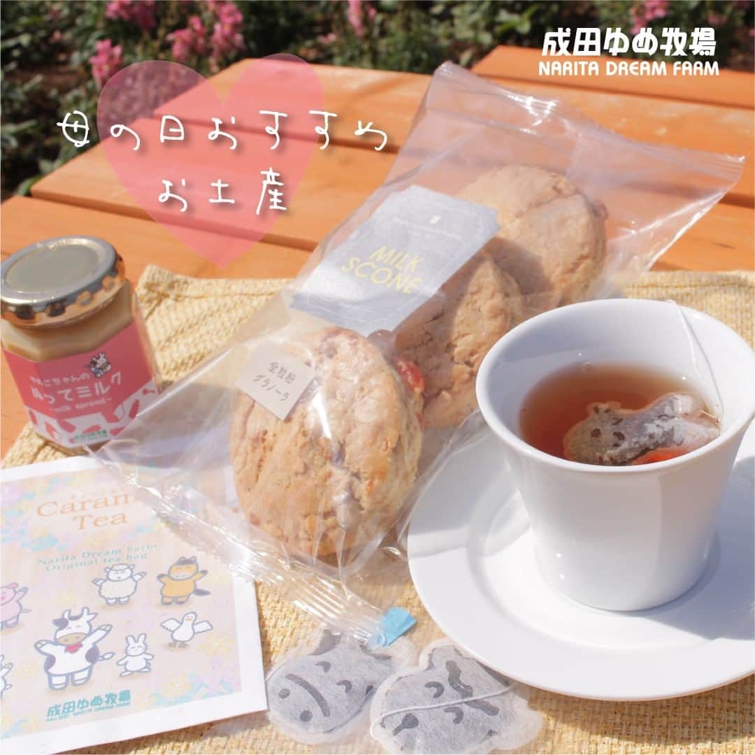 成田ゆめ牧場のインスタグラム