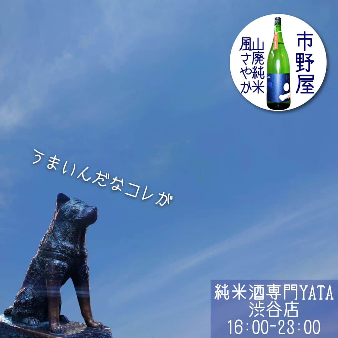 純米酒専門八咫 渋谷店のグルメインスタ