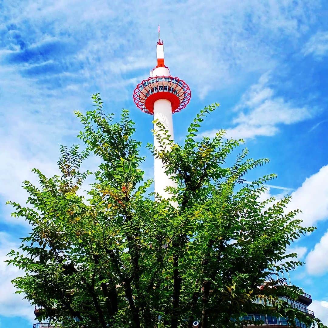 京都タワーさんのインスタグラム写真 - (京都タワーInstagram)「* PHOTOBY @hiroshi0369 #リポスト #おおきに  もうすぐ新緑の季節ですね🍃 京都タワー塔体の白が緑に映えた素敵な1枚です。  素敵なお写真のご投稿、ありがとうございました👏  ----- @kyototowerhotel_officialをタグ付け、または【#京都タワー】か【#kyototower】をつけて投稿していただいたユーザーさまの素敵なお写真をご紹介していきます -----」5月12日 15時04分 - kyototowerhotel_official