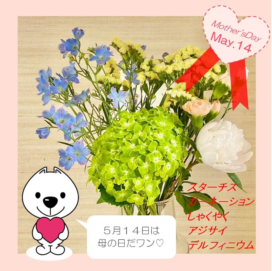 きいちゃんのインスタグラム