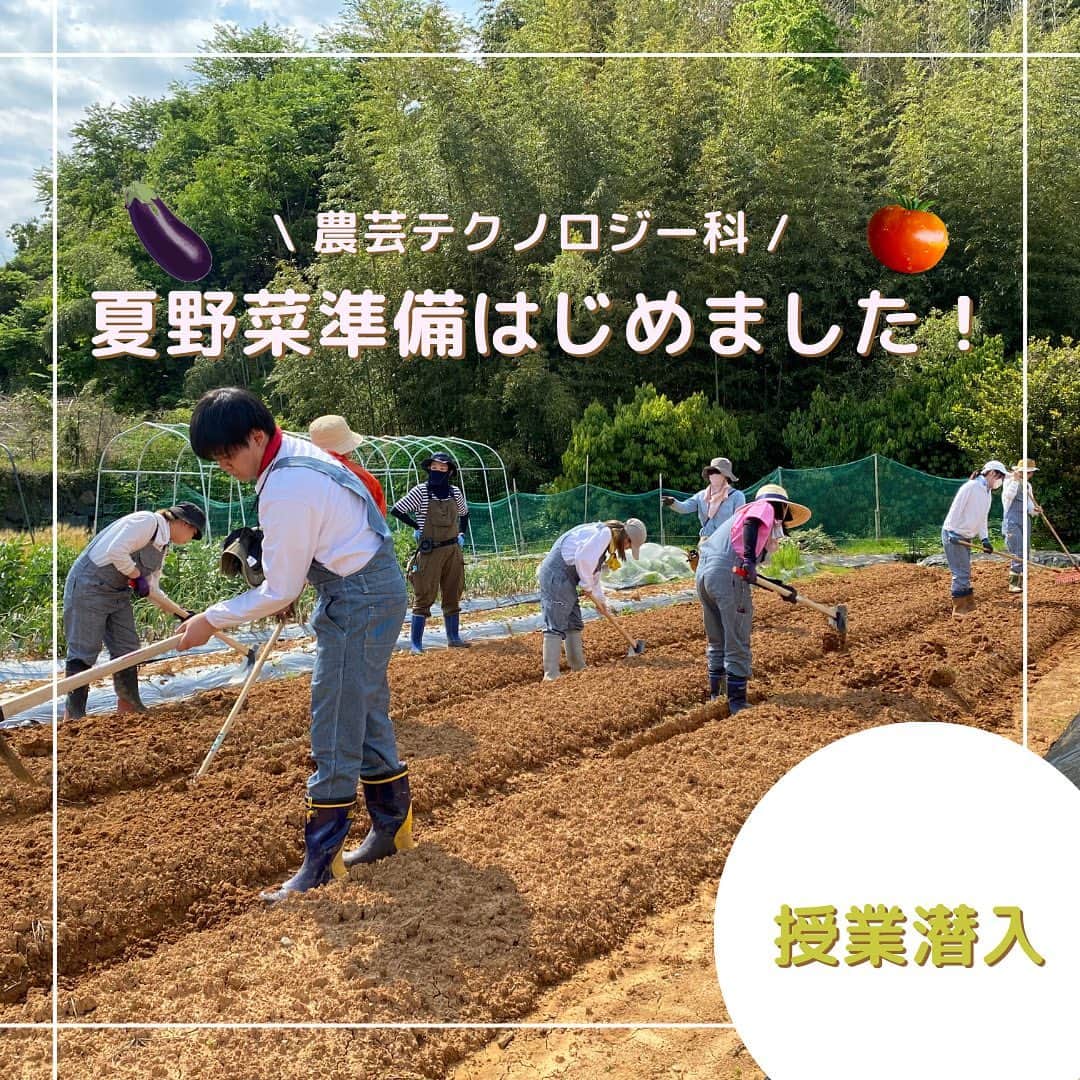 福岡キャリナリー製菓調理専門学校 のインスタグラム