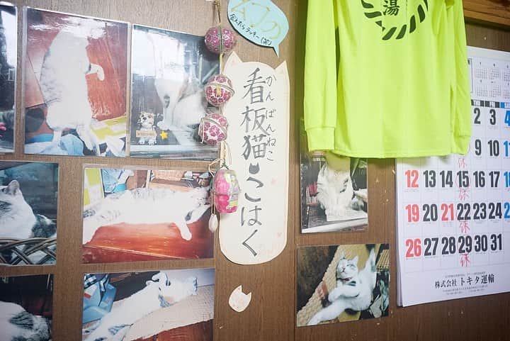旭桃果さんのインスタグラム写真 - (旭桃果Instagram)「Photo by @yumikokakuta_  #鹿島湯 #小学生あるある  #魔女  #魔女の宅急便ごっこ   #portraitmood #japan_daytime_view #sento #sauna」5月12日 16時22分 - momokasahi