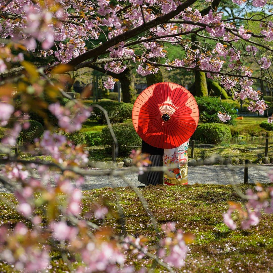 アート工房さんのインスタグラム写真 - (アート工房Instagram)「兼六園 。 。 #石川 #金沢 #kanazawa #金沢前撮り #富山前撮り #福井前撮り #ブライダルフォト #ウェディングフォト #ブライダル #ウェディング #ウェディングドレス #wedding #weddingdress #weddingphotography #weddingphoto #bridal #bridalphotography #兼六園 #ひがし茶屋街 #結婚準備 #結婚 #結婚式準備 #結婚式 #和装 #白無垢 #色打掛 #前撮り #後撮り #フォトジェニック」5月12日 16時30分 - artcoubouart