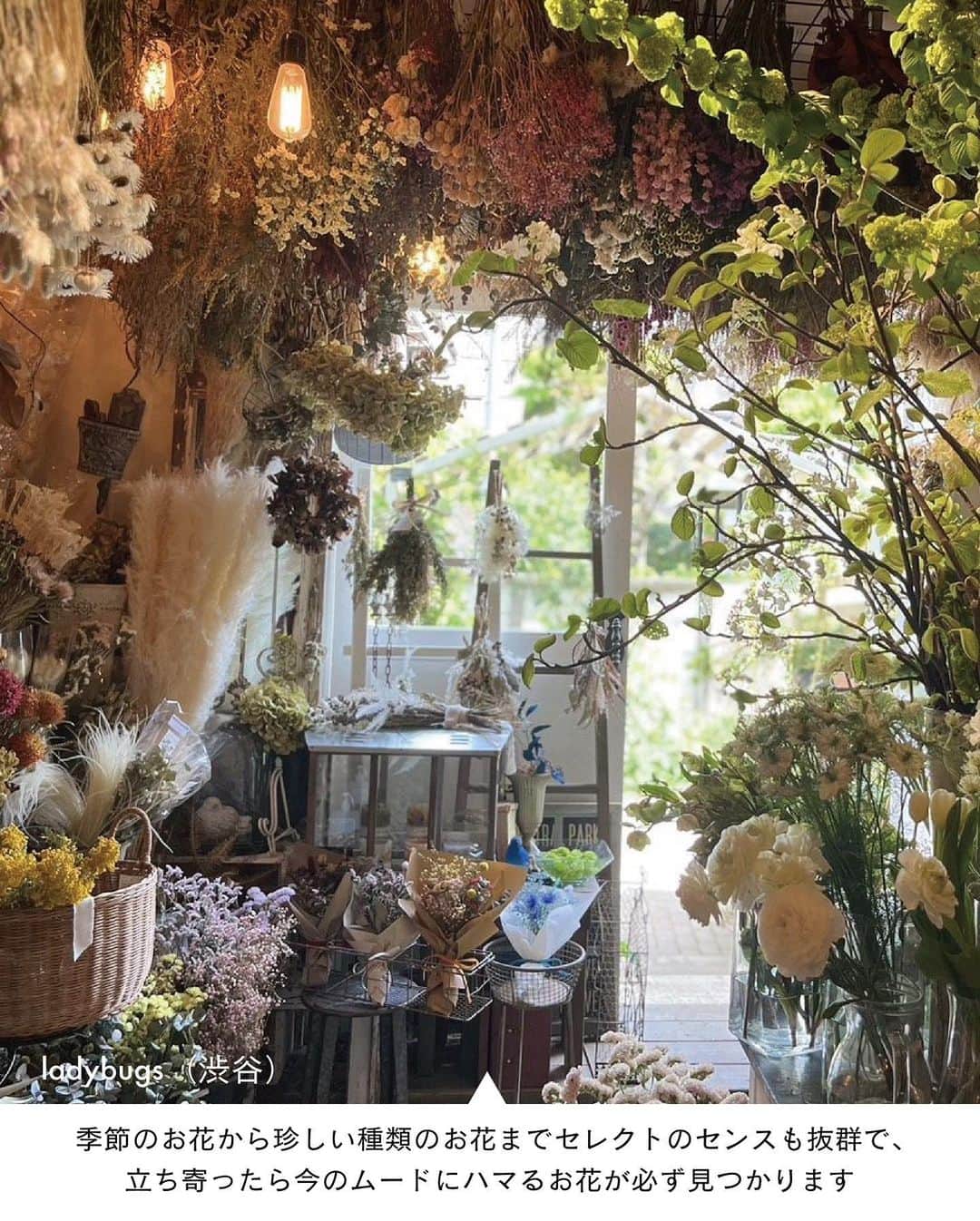 ELLE DECOR JAPANさんのインスタグラム写真 - (ELLE DECOR JAPANInstagram)「5月14日は #母の日 💐  「いつもありがとう」の気持ちを込めて花束を送る人も多いのでは？今回は、個性あふれるアレンジメントが得意なショップから所在地非公開のショップ、花の種類が学べるショップまで、情報通のエディターたちが日頃からチェックしているお気に入りのフラワーショップをご紹介！   1...MUNSELL（目黒） 2...FUGA（神宮前） 3...TRUMP flowers（桜新町） 4...asebi（恵比寿） 5...ladybugs（渋谷） 6...Ours（南青山）  「エル・デコ」デジタルでは、26のショップを紹介中。エディターのコメントと合わせて、ぜひ参考にしてみて。  #フラワーショップ #花屋  ##florist #flower #studiohowse #plants #花束 #フラワーアレンジメント  #母の日 #花のある暮らし#花のある生活 #母の日ギフト」5月14日 10時05分 - elledecorjapan