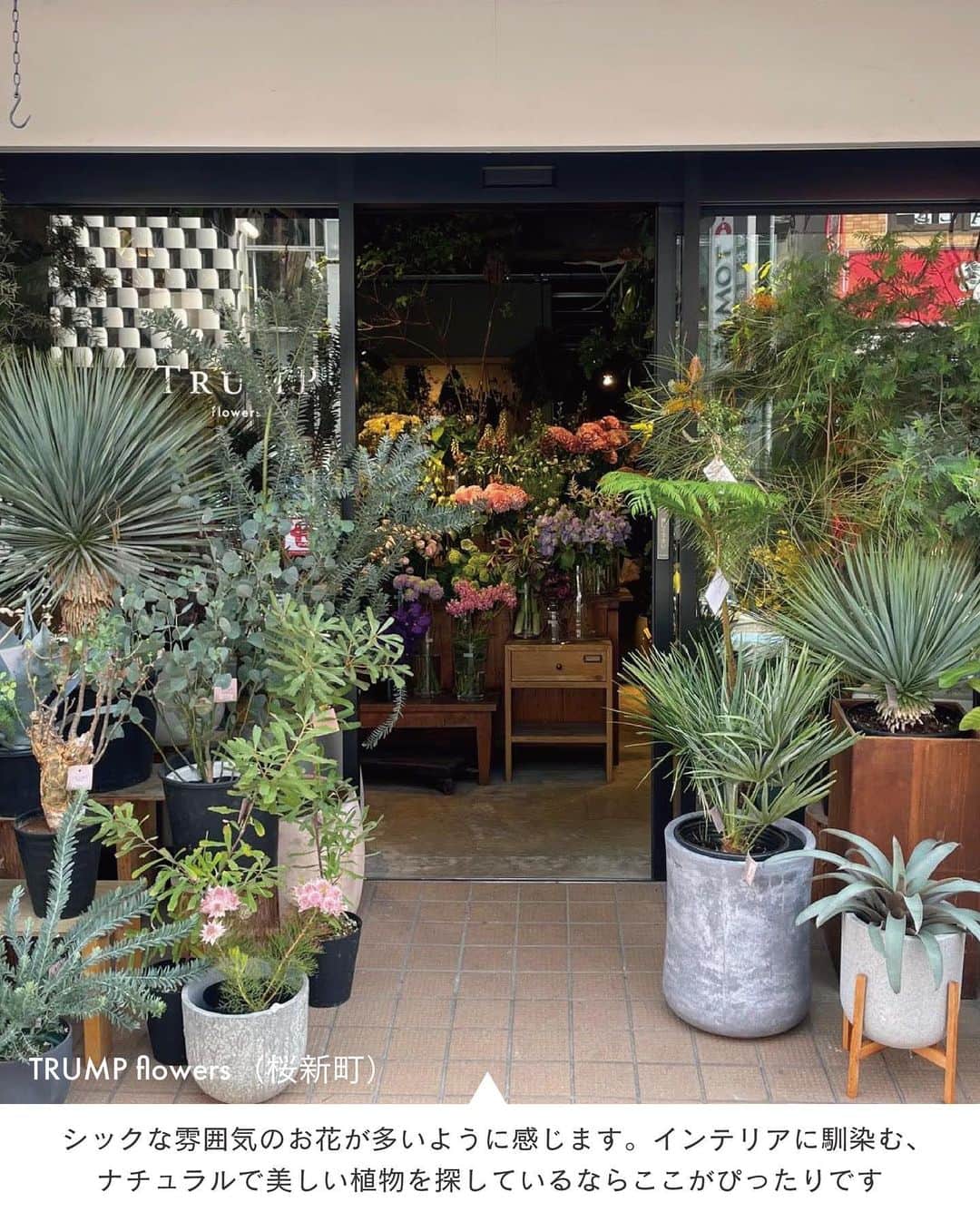 ELLE DECOR JAPANさんのインスタグラム写真 - (ELLE DECOR JAPANInstagram)「5月14日は #母の日 💐  「いつもありがとう」の気持ちを込めて花束を送る人も多いのでは？今回は、個性あふれるアレンジメントが得意なショップから所在地非公開のショップ、花の種類が学べるショップまで、情報通のエディターたちが日頃からチェックしているお気に入りのフラワーショップをご紹介！   1...MUNSELL（目黒） 2...FUGA（神宮前） 3...TRUMP flowers（桜新町） 4...asebi（恵比寿） 5...ladybugs（渋谷） 6...Ours（南青山）  「エル・デコ」デジタルでは、26のショップを紹介中。エディターのコメントと合わせて、ぜひ参考にしてみて。  #フラワーショップ #花屋  ##florist #flower #studiohowse #plants #花束 #フラワーアレンジメント  #母の日 #花のある暮らし#花のある生活 #母の日ギフト」5月14日 10時05分 - elledecorjapan
