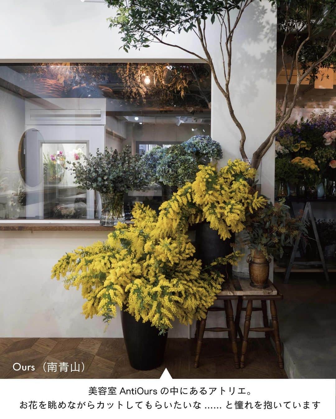 ELLE DECOR JAPANさんのインスタグラム写真 - (ELLE DECOR JAPANInstagram)「5月14日は #母の日 💐  「いつもありがとう」の気持ちを込めて花束を送る人も多いのでは？今回は、個性あふれるアレンジメントが得意なショップから所在地非公開のショップ、花の種類が学べるショップまで、情報通のエディターたちが日頃からチェックしているお気に入りのフラワーショップをご紹介！   1...MUNSELL（目黒） 2...FUGA（神宮前） 3...TRUMP flowers（桜新町） 4...asebi（恵比寿） 5...ladybugs（渋谷） 6...Ours（南青山）  「エル・デコ」デジタルでは、26のショップを紹介中。エディターのコメントと合わせて、ぜひ参考にしてみて。  #フラワーショップ #花屋  ##florist #flower #studiohowse #plants #花束 #フラワーアレンジメント  #母の日 #花のある暮らし#花のある生活 #母の日ギフト」5月14日 10時05分 - elledecorjapan