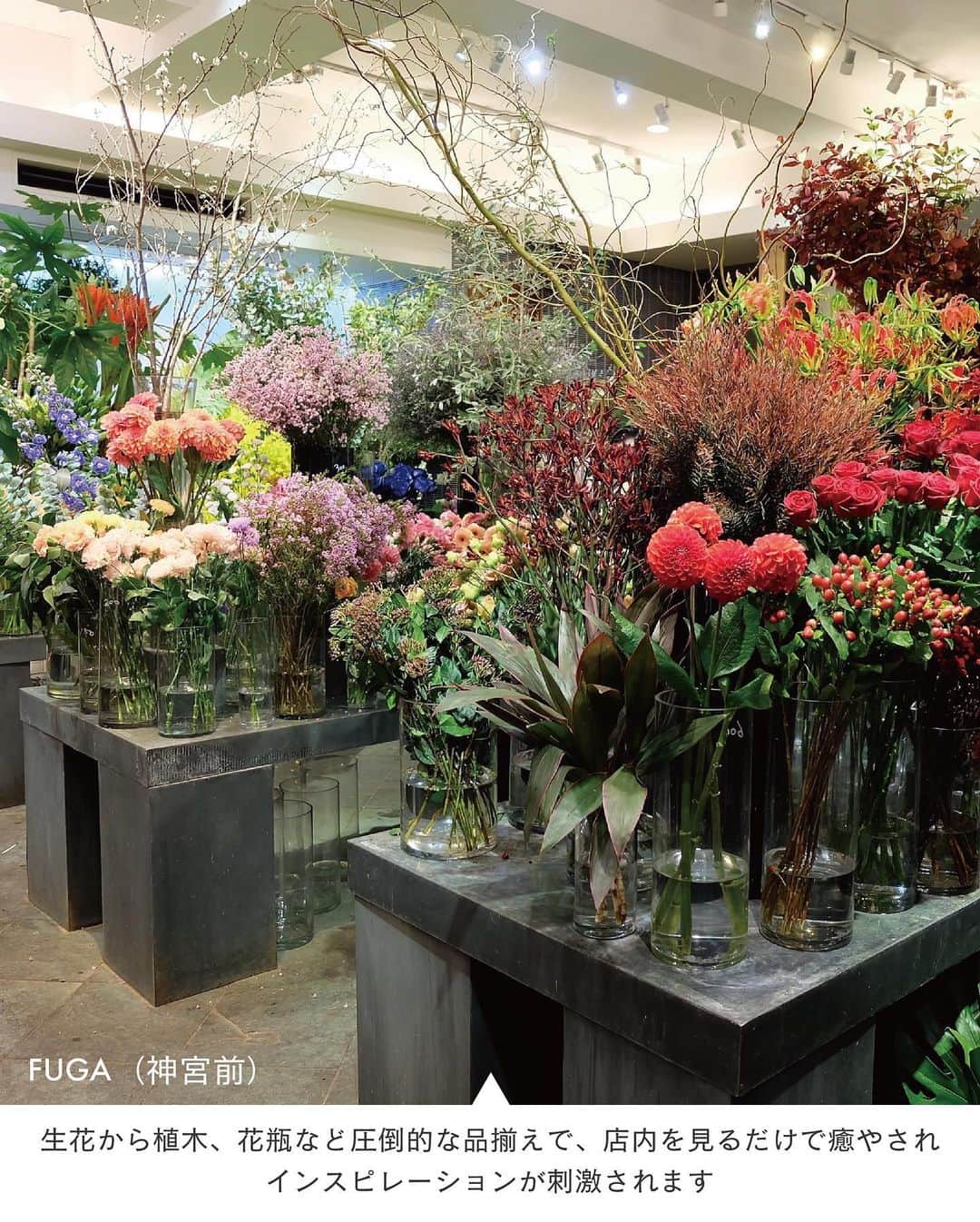 ELLE DECOR JAPANさんのインスタグラム写真 - (ELLE DECOR JAPANInstagram)「5月14日は #母の日 💐  「いつもありがとう」の気持ちを込めて花束を送る人も多いのでは？今回は、個性あふれるアレンジメントが得意なショップから所在地非公開のショップ、花の種類が学べるショップまで、情報通のエディターたちが日頃からチェックしているお気に入りのフラワーショップをご紹介！   1...MUNSELL（目黒） 2...FUGA（神宮前） 3...TRUMP flowers（桜新町） 4...asebi（恵比寿） 5...ladybugs（渋谷） 6...Ours（南青山）  「エル・デコ」デジタルでは、26のショップを紹介中。エディターのコメントと合わせて、ぜひ参考にしてみて。  #フラワーショップ #花屋  ##florist #flower #studiohowse #plants #花束 #フラワーアレンジメント  #母の日 #花のある暮らし#花のある生活 #母の日ギフト」5月14日 10時05分 - elledecorjapan