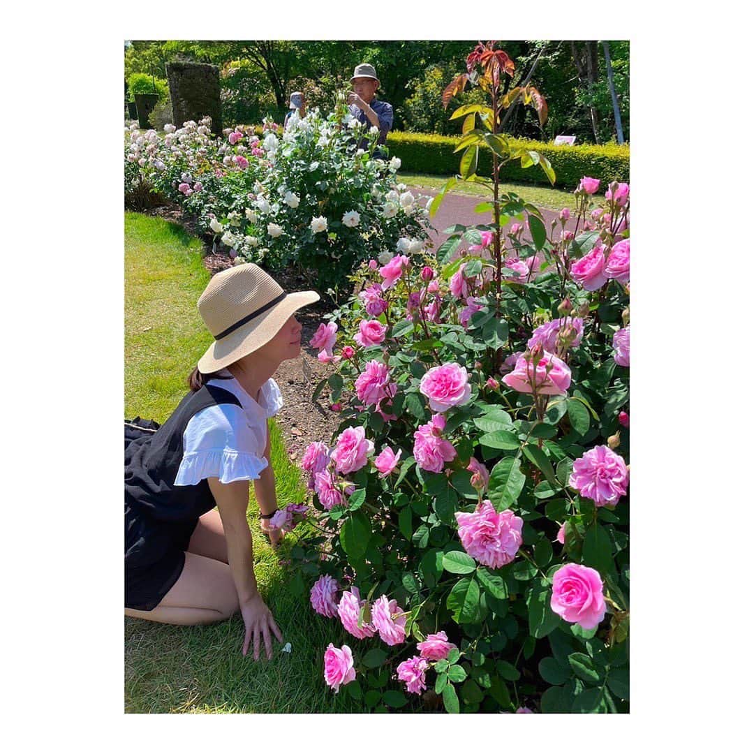 松尾翠さんのインスタグラム写真 - (松尾翠Instagram)「まるでヨーロッパに旅行に来たかのような…空と風とガーデンブラボー🕊  京都植物園に、京都シスターズと2時間のトリップランチタイム(おねぇがお弁当だったので、私も渋弁)  花盛りと香りが最高すぎて 毎日でも通いたい あージップロックにこの香りをつめて帰りたい！！ と思わず叫んだ！  きっと昔の方も同じように叫び、その中で現れたある天才と熱量が、蒸留して香りもエッセンスも一滴の中に封じ込める！というエッセンシャルオイルを生み出してくれたんじゃなかろうか…🕊(憶測) エッセンシャルオイル、愛してます🫶  桜と紅葉がフューチャーされがちだけど 5月の京都は気候も青紅葉もお花も最高のシーズンです🙌 おこしやす〜  これぞまさに#ホリスティックビューティー #アロマのある暮らし #kyototrip #kyotolife   #京都暮らし #京都府立植物園 #バラ園 #芍薬大好き#松尾翠」5月12日 17時07分 - midori.matsuo_official