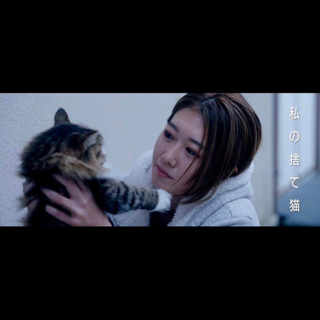 馬場奈々瀬のインスタグラム：「短編映画『私の捨て猫』  主演として出演させて頂きました！  こちらの作品が上映会で6/9〜6/11にまでご覧頂ける事となりました😊  すごく嬉しいです🥹！！  10分の短い短編映画ですが、心を込めて精一杯挑みました！  伊藤監督を始め、脚本、プロデューサー、助監督、撮影部、録音部、編集、そして共演者の結城さん、皆さんの力で創りあげることのできた作品です。 本当に皆さんのおかげで出来上がった作品です✨  心から感謝が止まりません。  ぜひ観て頂けたら嬉しいです！！🎞  予約サイトはトップに貼らせて頂きます✨ ぜひお待ちしております🙋‍♀️  分からない場合はお気軽にご質問ください✨  6/9 (金) 13:30-15:00 6/10(土) 9:20-10:30 6/11(日) 9:20-10:30  #映画　#短編映画 #コンムオーベレ」