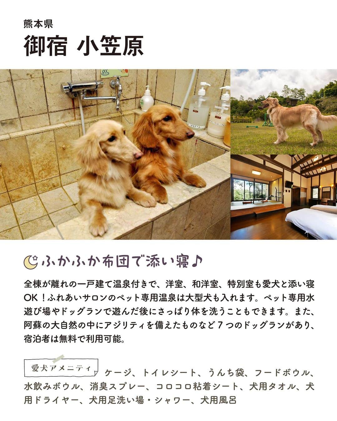 旅行メディア・じゃらん〈公式〉さんのインスタグラム写真 - (旅行メディア・じゃらん〈公式〉Instagram)「＼愛犬と泊まれる宿／ 明日5/13は「愛犬の日」なんだそう。大切な家族🐶と優雅で快適な旅ができる宿をご紹介します♪ 〰︎ 〰︎ 〰︎ 〰︎ 〰︎ 〰︎ 〰︎ 〰︎ 〰︎ 〰︎ 〰︎  📷2枚目 i+Land nagasaki（アイランド ナガサキ）｜長崎県 @island_nagasaki  . 📷3枚目 御宿 小笠原（おんやど おがさわら）｜熊本県 . 📷4枚目 ルシアン旧軽井沢｜長野県 @official_lechien  . 📷5枚目 ホテルヒルズフォレスト那須｜栃木県 . 📷6枚目 ご・遊庭（ゆうてい）｜千葉県 @go.yutei_official  . 📷7枚目 ザ・ペニンシュラ東京｜東京都 @thepeninsulatokyo 　　　　　　　　　　　　　　　　　　　　　　　　　　　　　　　　　　　　　　　　　　　　　　　　　　　　　　　　　　　　　　　　　　　　　　　　　　　　　　　　　　　　　　　　　　　　　　　　　　　　　　　　　　　　　　　　　　　　　　　　　   〰︎ 〰︎ 〰︎ 〰︎ 〰︎ 〰︎ 〰︎ 〰︎ 〰︎ 〰︎ 〰︎〰︎ #犬と泊まれる宿 #犬とお出かけ #犬旅 #dogstagram #愛犬と旅行 #愛犬お宿　#愛犬とおでかけ #長崎旅行 #長崎ホテル #熊本旅行 #熊本ホテル #軽井沢旅行 #軽井沢ホテル #栃木旅行 #栃木ホテル #千葉旅行 #千葉ホテル #東京旅行 #東京ホテル #japantravel #japan #travelphotography #じゃらん #trip #travel #旅 #旅行好きな人と繋がりたい #旅行好き #いぬすたぐらむ #愛犬の日」5月12日 17時33分 - jalan_net