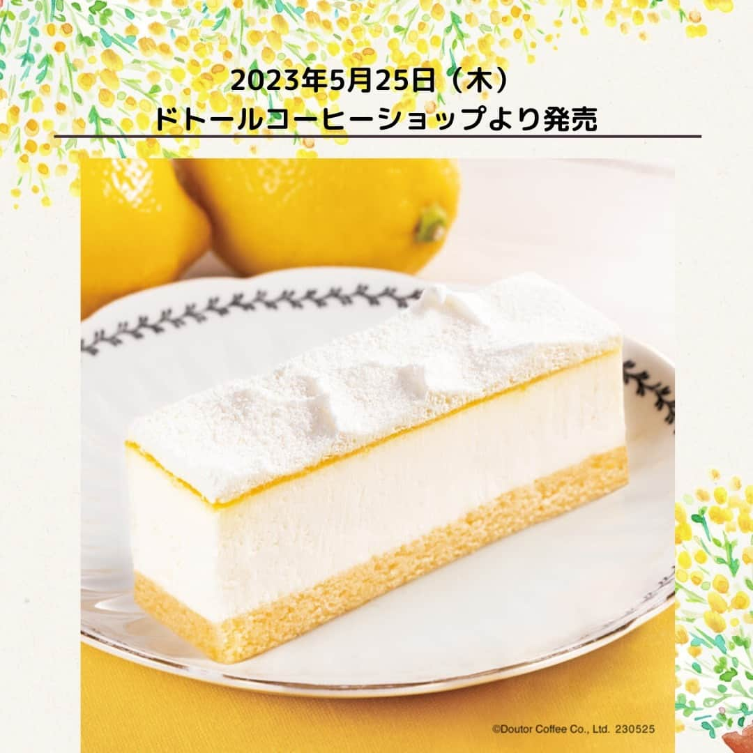 もぐナビさんのインスタグラム写真 - (もぐナビInstagram)「🍋「レアチーズケーキ～レモンソース仕立て～ 」がドトールコーヒーショップで2023年5月25日（木）より発売🍋暑くなるこれからの季節にぴったりのさっぱりとした爽やかなデザート として楽しめます！チーズ風味のスポンジに、なめらかな口当たりに仕上げたレアチーズムースを重ね 、天面のホイップクリームとの間にはレモンソースをサンド しました✨  #新発売 #スイーツ #新作スイーツ #もぐナビ #新商品 #スイーツ好きな人と繋がりたい #スイーツ好き #スイーツ部 #ドトール #ドトールコーヒー #レモン #レアチーズケーキ　#夏スイーツ #さっぱり」5月12日 17時43分 - mognavi.jp