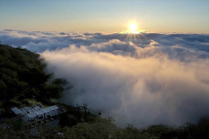 poroco（ポロコ）さんのインスタグラム写真 - (poroco（ポロコ）Instagram)「5/11「星野リゾート　トマム」雲海テラスオープン☁️✨  北海道の美しい自然を満喫できるリゾートホテル「星野リゾート　トマム」の雲海テラスオープニングセレモニーが開催されました🎉  「多くの人が雲海に出会えますように」という願いを込めて、毎年行っているセレモニーで、雲に見立てたシャボン玉を青空に飛ばす「クラウドリリース」が行なわれました🫧🫧  雲海テラスは、トマム山の標高1,088 メートルにあり、気象条件により、ダイナミックに雲が流れ込む雲海や、神々しく美しい雲海などが楽しめます。 営業期間中に雲海が発生する確率は40％と言われています。  今年は、個性的な展望スポット「Sky Wedge（スカイウェッジ）」が描かれた雲海ゴンドラや、「雲みくじ」が登場！ 「雲みくじ」は、運勢を表す、大吉や中吉を「ひつじ雲」や「いわし雲」といった「雲海テラス」ならではの雲で表現したおみくじで、23年バージョンは、ユニークな展望スポットを模した金色の縁起物が入っています。どの縁起物と出合えるかはお楽しみ😊  「雲Cafe」では、雲のソフトクリームが乗った「雲パフェ」や、ワンちゃん連れの人にうれしい「愛犬用雲マカロン」も販売しているので、雲海を眺めながら「展望デッキ」のソファでくつろぐのもオススメ。 ※「雲パフェ」は6/1から販売開始  ぜひ、今年は「星野リゾート　トマム」で雲海を楽しんでみて✨  写真10枚目に動画もあるので見てね！  写真①②／とある日の雲海の様子 写真③／Cloud Pool（クラウドプール） 写真④／Sky Wedge（スカイウェッジ） 写真⑤／Cloud Walk（クラウドウォーク） 写真⑥／Sky Wedge雲海ゴンドラ 写真⑦／リニューアル雲みくじ_縁起物 写真⑧／雲パフェ 写真⑨／愛犬用雲マカロン ⑩動画  星野リゾート　トマム　新公式インスタ @hoshinoresorts.tomamu 星野リゾート公式インスタ @hoshinoresorts.official こちらもチェックしてね  #HoshinoResorts #星野リゾート #星野リゾートトマム #トマム #tomamu #雲海 #絶景 #雲海テラス #オープン #北海道 #hokkaido #占冠 #shimukappu #大自然 #雲Cafe #雲パフェ #犬ok #犬連れ旅行 #犬と旅行 #グルメ #旅時間 #旅 #北海道旅行 #北海道観光 #北海道好きな人と繋がりたい #ポロコ #poroco #hokkaido」5月12日 17時54分 - poroco_magazine