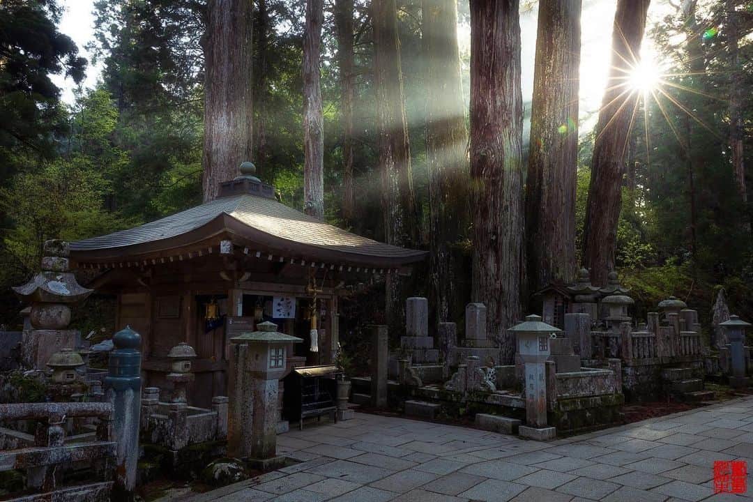 Visit Wakayamaのインスタグラム：「. Early morning sunlight filters through the towering cedar trees at Okuno-in, as the day starts at Koyasan. 📸 @qoo.inc 📍 Okuno-in, Wakayama」