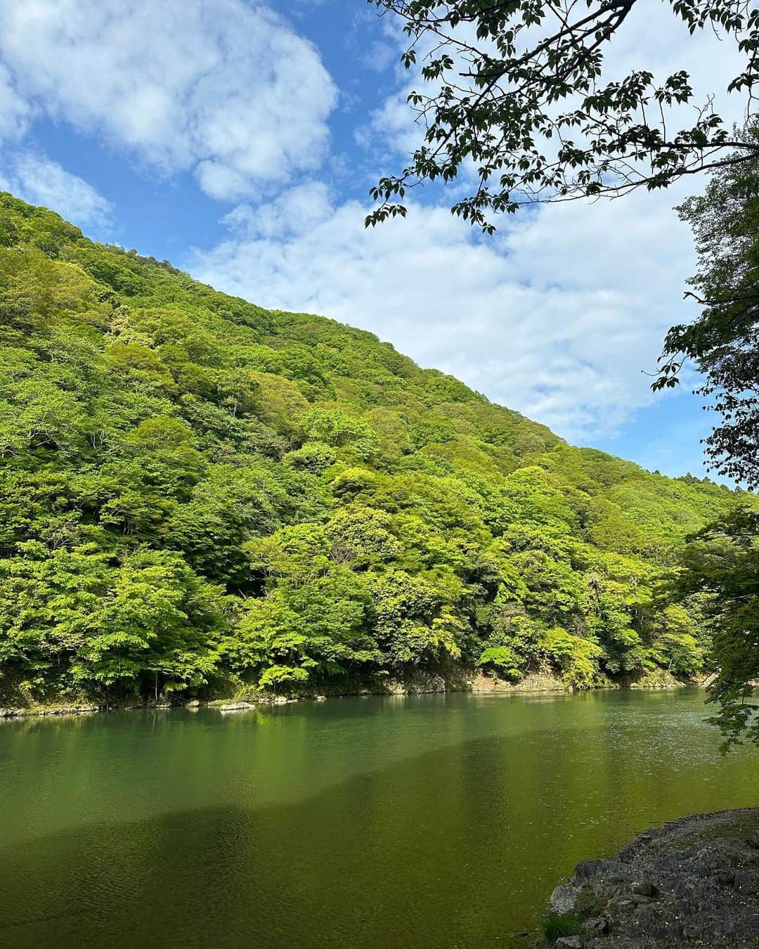 秋倉諒子さんのインスタグラム写真 - (秋倉諒子Instagram)「たまに自然にかえる🌿 朝にお散歩して空気をたくさん吸って深呼吸😮‍💨♡ 生き返った〜 #kyoto#京都#嵐山」5月12日 18時03分 - ryokoak45