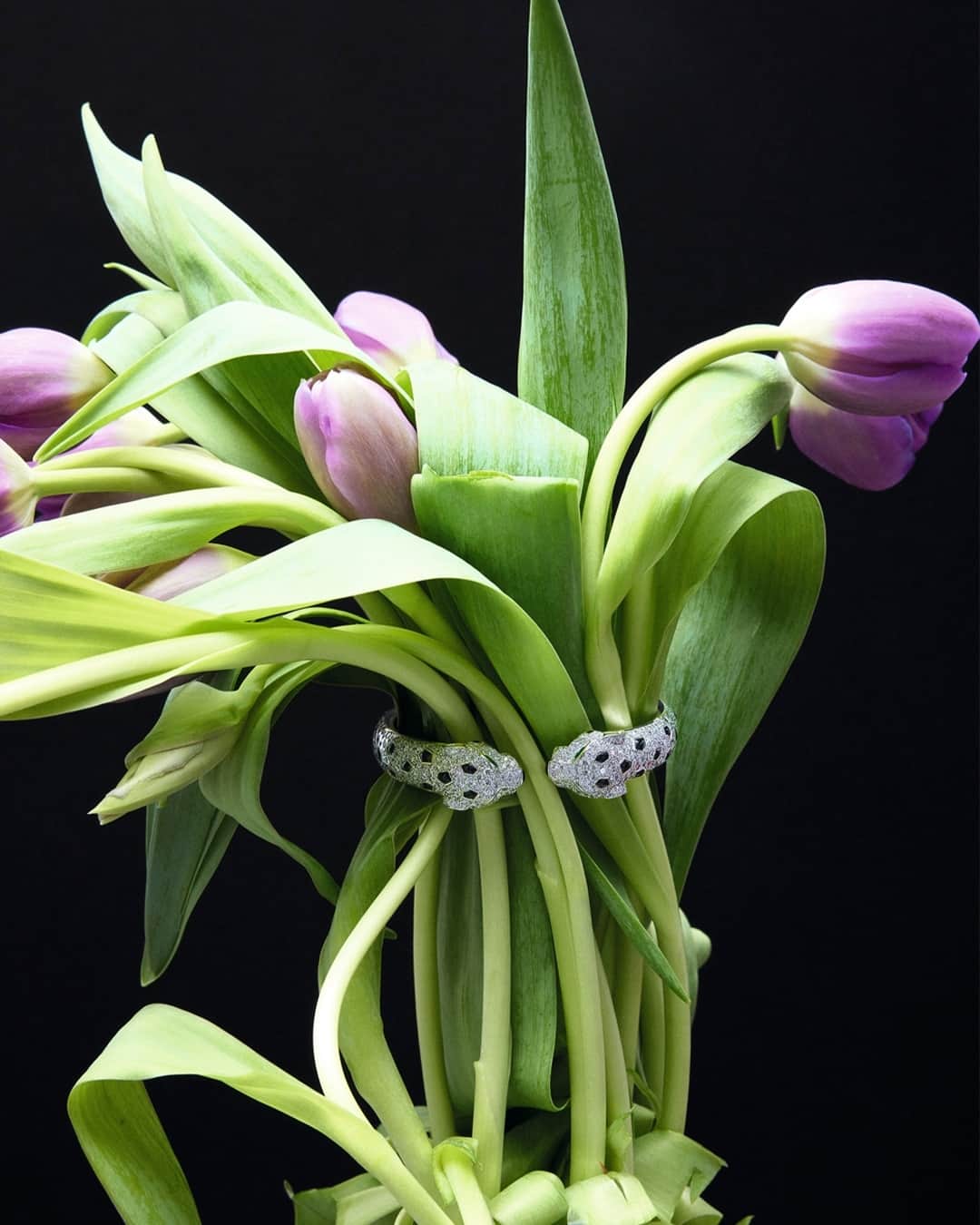 AnOther Magazineのインスタグラム：「#FridayFlowers 🌷 Seen in the pages of AnOther Magazine's latest issue, still lifes by @sebastian.lager capture the most gorgeous (and eccentric) accessories from the new season, from @cartier to @loewe ✨⁠ ⁠ Keep up to date with all the things AnOther Loves via our curated shopping page – @anotherloves – and see the full accessories story at the link in bio 📲⁠ ⁠ Photography by @sebastian.lager⁠ Styling by @chloe_grace_press⁠ Set design by @hellakeck⁠ Production by @mapltd」