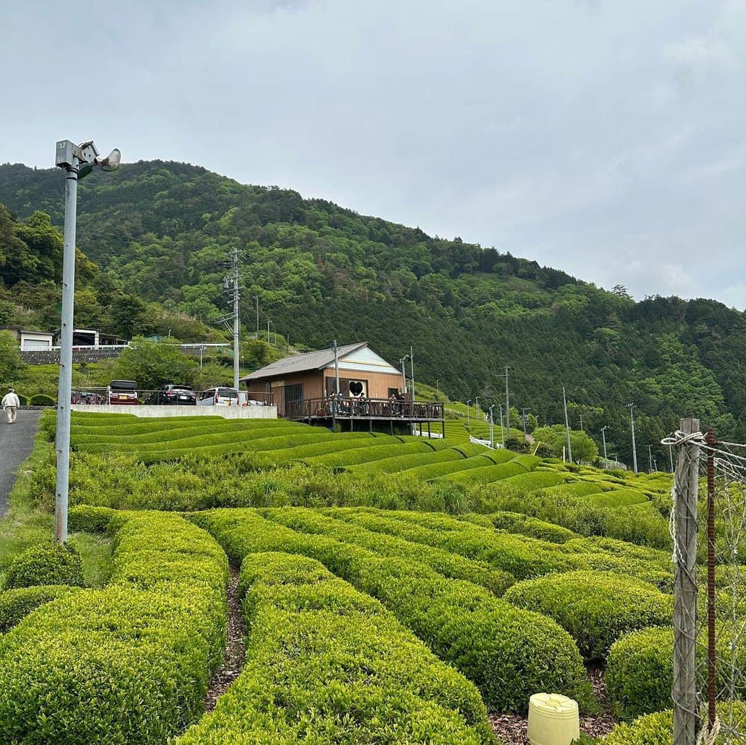 ぱんもんさんのインスタグラム写真 - (ぱんもんInstagram)「⁡ ＼ 岐阜県の抹茶スイーツ ꪔ̤̮♥ ／ ⁡ 岐阜のマチュピチュ 天空の茶畑🍃 ⁡ 岐阜県揖斐川町 にある #ハートkoyaカフェ ◇お抹茶ぜんざい（春日茶付） 880円 ◇濃厚抹茶プリン（春日茶付）600円 ※抹茶プリンは土日限定 ⁡ 一面茶畑の絶景を見ながら 美味しい抹茶スイーツや春日茶がいただけるお店🍵 ⁡ 本当に素敵な景色で、感動しっぱなしでした🫶🍃 ⁡ お茶も美味しくて、 白玉ももっちり柔らかくて 幸せでした🕊💚 ⁡ ハートの窓越しの茶畑もかわいいね🙈 ⁡ #岐阜カフェ #岐阜グルメ #抹茶スイーツ #matcha #揖斐川町 #揖斐川町カフェ #抹茶 #春日茶 #岐阜のマチュピチュ #天空の茶畑 #茶畑 #お茶カフェ #抹茶プリン #絶景カフェ #自然カフェ #抹茶プリン #和スイーツ #和カフェ」5月12日 20時01分 - panmon15