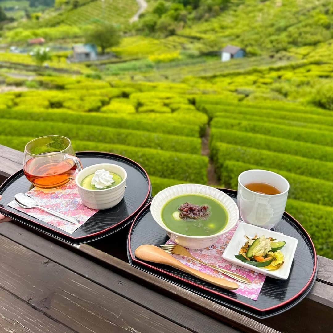 ぱんもんのインスタグラム：「⁡ ＼ 岐阜県の抹茶スイーツ ꪔ̤̮♥ ／ ⁡ 岐阜のマチュピチュ 天空の茶畑🍃 ⁡ 岐阜県揖斐川町 にある #ハートkoyaカフェ ◇お抹茶ぜんざい（春日茶付） 880円 ◇濃厚抹茶プリン（春日茶付）600円 ※抹茶プリンは土日限定 ⁡ 一面茶畑の絶景を見ながら 美味しい抹茶スイーツや春日茶がいただけるお店🍵 ⁡ 本当に素敵な景色で、感動しっぱなしでした🫶🍃 ⁡ お茶も美味しくて、 白玉ももっちり柔らかくて 幸せでした🕊💚 ⁡ ハートの窓越しの茶畑もかわいいね🙈 ⁡ #岐阜カフェ #岐阜グルメ #抹茶スイーツ #matcha #揖斐川町 #揖斐川町カフェ #抹茶 #春日茶 #岐阜のマチュピチュ #天空の茶畑 #茶畑 #お茶カフェ #抹茶プリン #絶景カフェ #自然カフェ #抹茶プリン #和スイーツ #和カフェ」