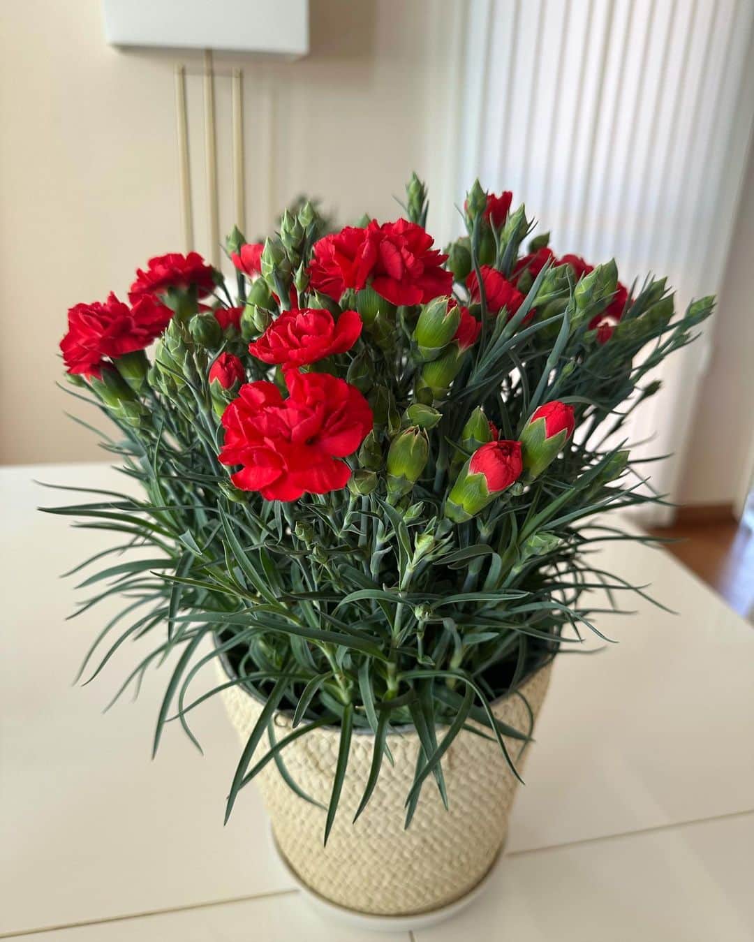 里海さんのインスタグラム写真 - (里海Instagram)「#母の日 #mothersday 💐 私の初めての日！ 少し早めに息子と夫から お花をもらいました❤️❤️❤️ 息子はお花をシッターさんと 手作りしてくれました❤️❤️❤️ 初めての贈り物❤️❤️❤️ 一生大事にします！！！  我が家のメンズは女性にお花を 贈れる素敵なメンズ達です🥰  幸せ❤️  #生後7ヶ月　#firstmothersday」5月12日 20時09分 - satoumi0330