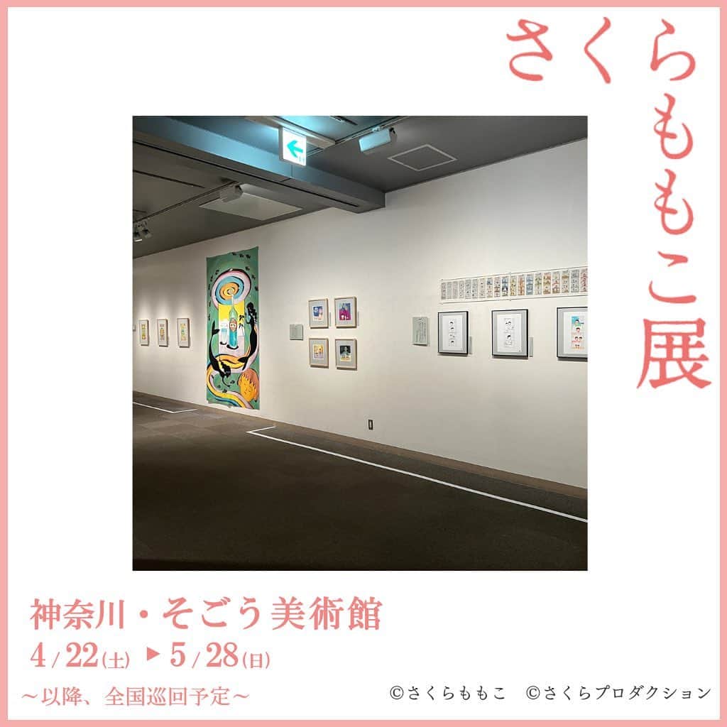 さくらももこスタッフのインスタグラム：「さくらももこ展🌸横浜、GWはたくさんの方にご来場いただきました。 閉幕の5/28(日)まで土曜日・日曜日は混雑が予想されます💦 ゆっくりご鑑賞されたい方は、平日のご来場がおすすめです✨  さくら先生を感じる空間をまわっていると、いつの間にかあっという間に時間が経っていて驚きます💫  #さくらももこ #ちびまる子ちゃん #コジコジ #まるコジ #漫画 #アニメ #イラスト #エッセイ #さくらももこ展 #横浜 #そごう美術館」