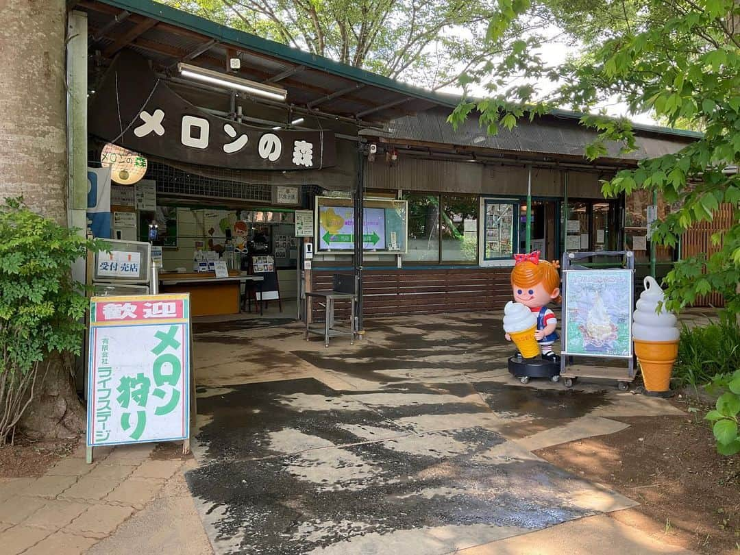 野島健児さんのインスタグラム写真 - (野島健児Instagram)「フォレストパーク メロンの森  今年も行ってきましたよ 浦田わたるくんとの2人旅でした ボケしかいないので 早朝から 永遠にボケ倒してましたが 帰りの車では歌ってたわ  メロン狩り 皆さんも是非！！  メロン狩り収穫体験とご贈答マスクメロンの産地直送お取り寄せ販売、常陸牛バーベキュー 茨城県ほこた(鉾田)市～大洗から30分・那珂湊・潮来・水戸から45分  https://www.melonnomori.com/melon_no_mori.htm #メロンの森」5月12日 20時50分 - nojima_kenji