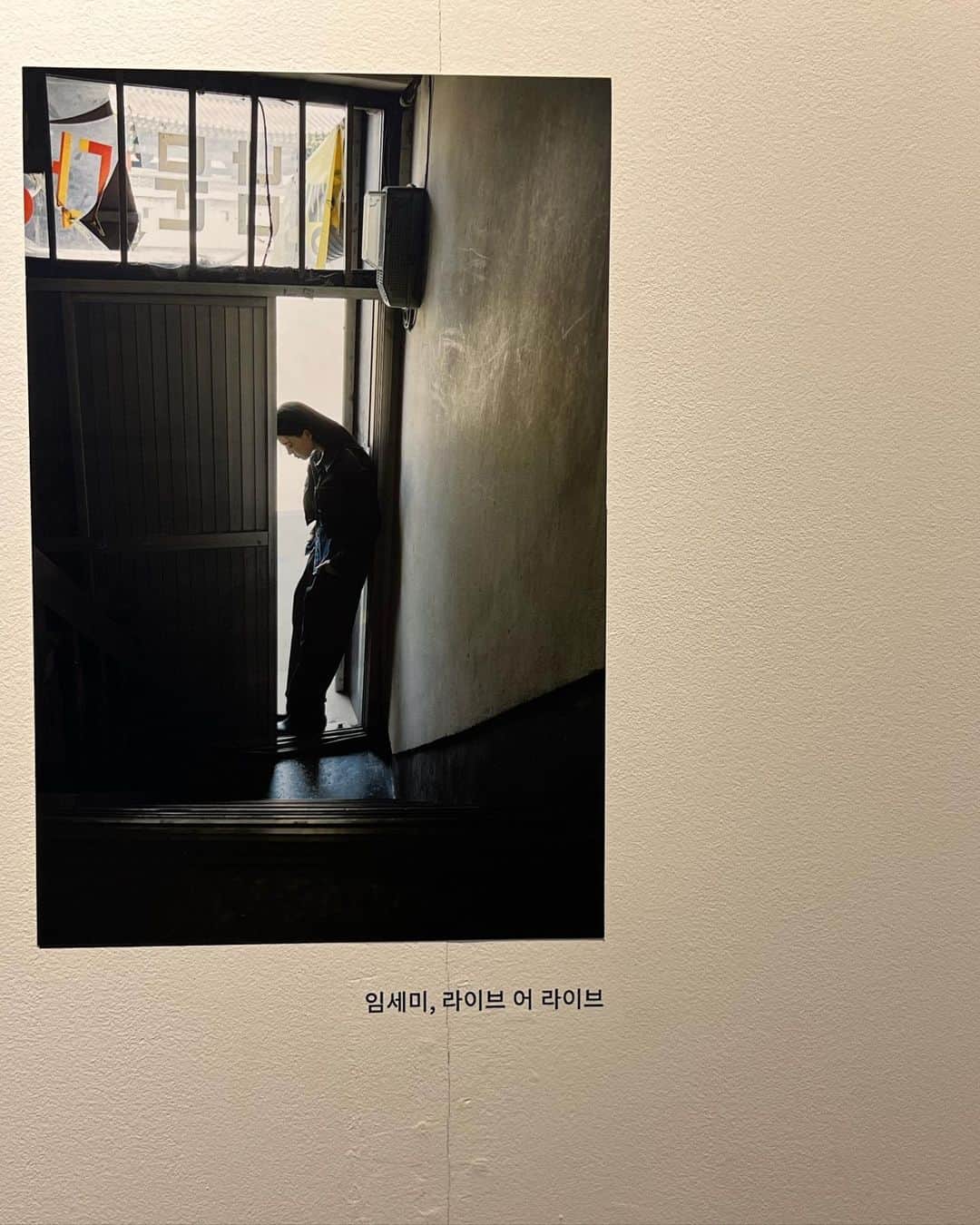 イム・セミのインスタグラム：「전주, 눈누 하드털이 🔜   @greenywater X @noon_company @highmiles_official」