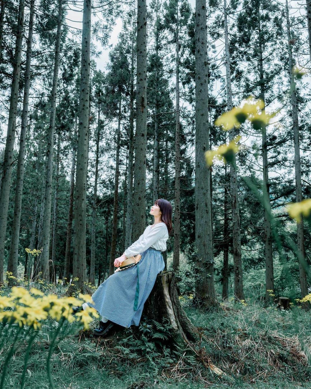 shabonのインスタグラム：「* . . . . . 森の中の切り株可愛かった🥰🌲 . . H B D 🎂 🎉 model : @ailes_5pht  . . FUJIFILM GFX50S II /  GF45mm F2.8 R WR . . . . . . *」