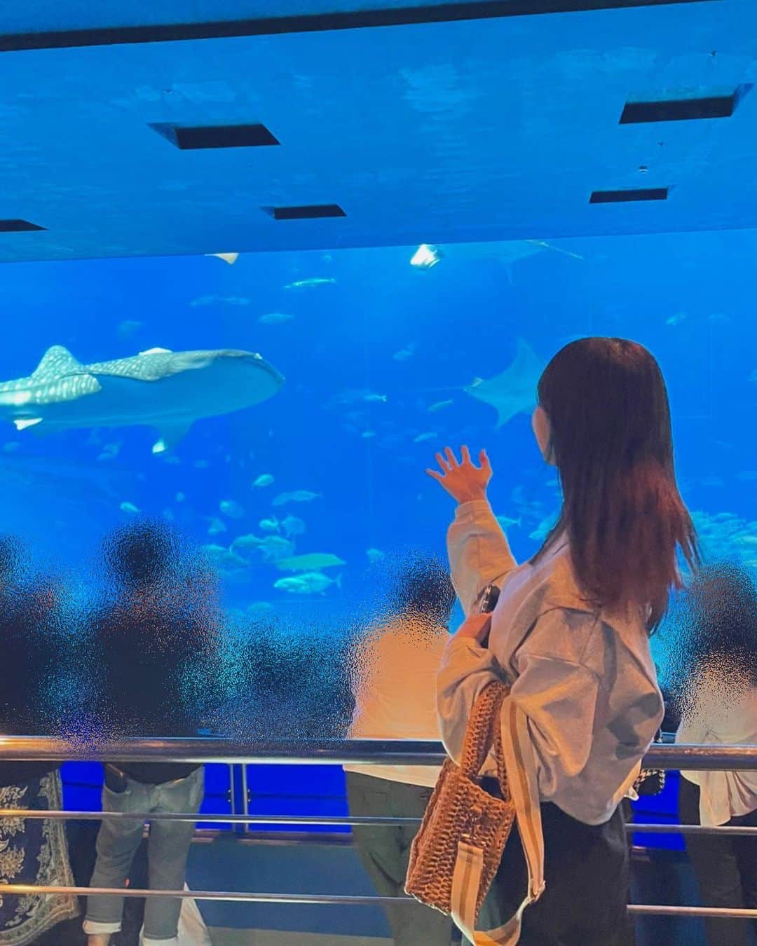 大段舞依のインスタグラム：「⁡ ⁡ ⁡ お魚とともに♡ ⁡ ⁡ #沖縄 #那覇 #沖縄旅行 #美ら海水族館 #🐟 ⁡」
