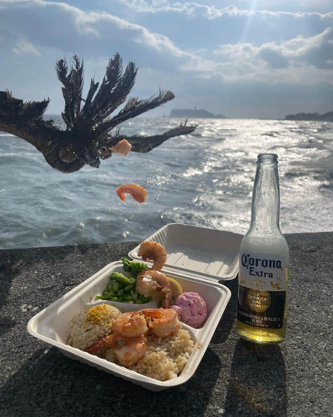 横田彩夏さんのインスタグラム写真 - (横田彩夏Instagram)「桜木花道になろうとしたら、鳶にエビ獲られた話。  #一瞬の出来事 #防波堤で1回転び #足負傷 #その後トンビのランチ #奇跡的1枚 #運気◎  #chill #kamakura #鎌倉 #七里ヶ浜」5月12日 21時38分 - picowestwood