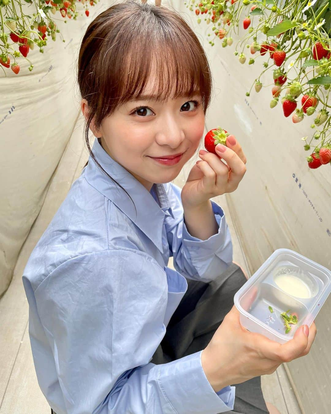 倉野尾成美のインスタグラム：「🍓☺️✨  なるたおとマネージャーさんで、いちご狩りに行った時の写真です！ いちごおいしかったなぁ😙🍓 ちなみに、この日モノマネMVも撮りました👍 最後の写真、 自撮りしてるたおさんが映り込んでるよ… 可愛い🐡🫶」